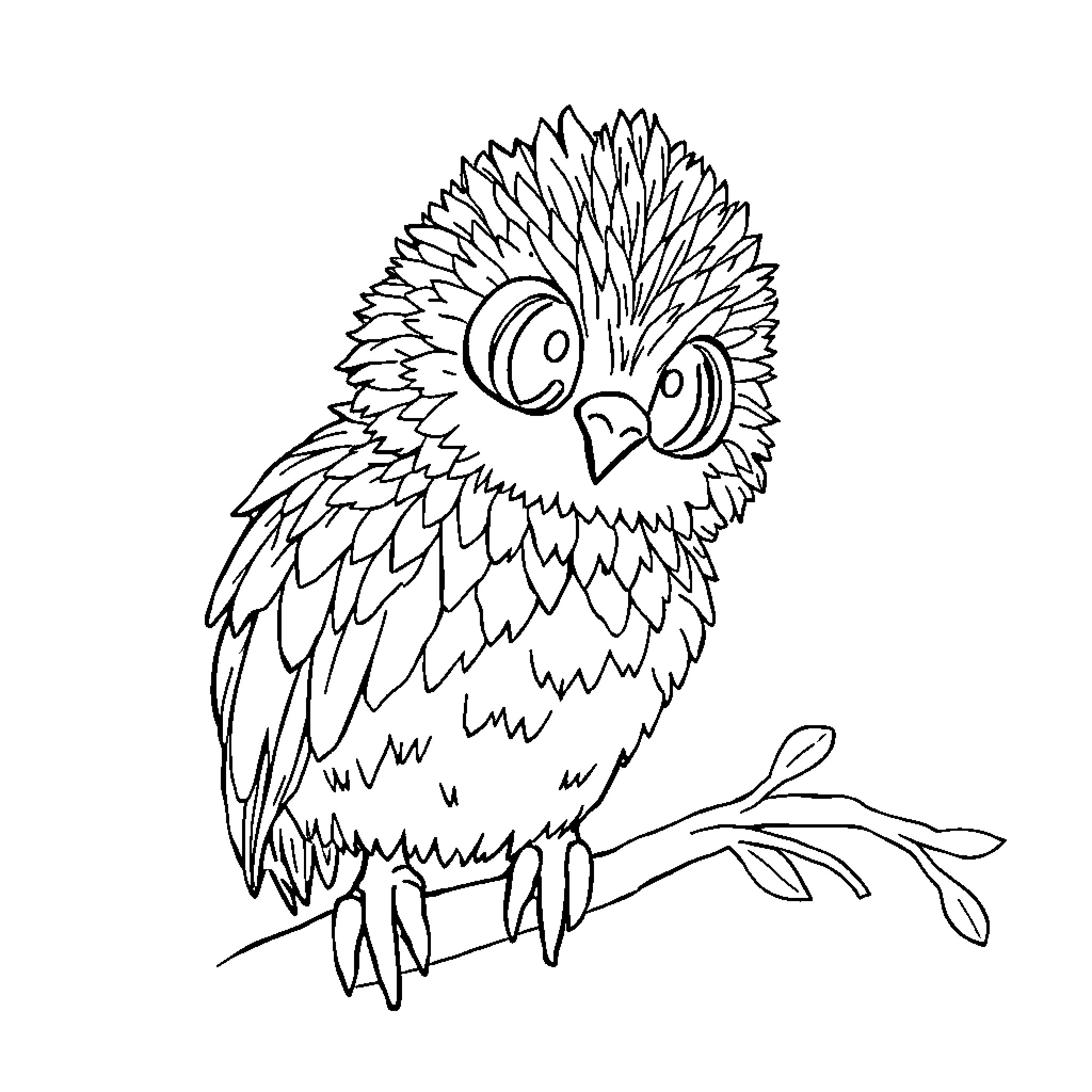 Animal with feathery plumage resting on branch Coloring Page (free black-and-white line drawing printable PDF for all, from beginners to advanced learners, including children, teens, adults, and seniors)