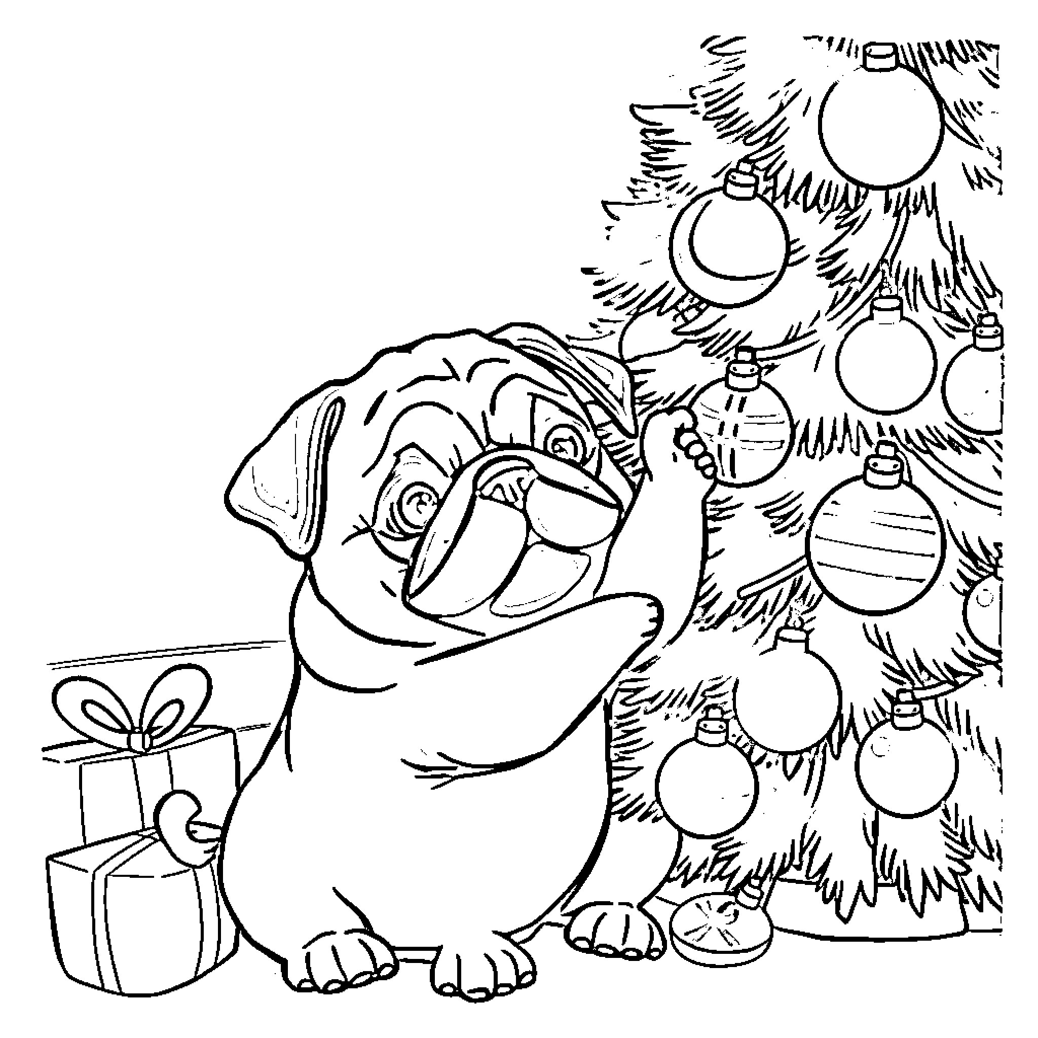 Pug enjoying Christmas decorations and presents Coloring Page (free black-and-white line drawing printable PDF for all, from beginners to advanced learners, including children, teens, adults, and seniors)