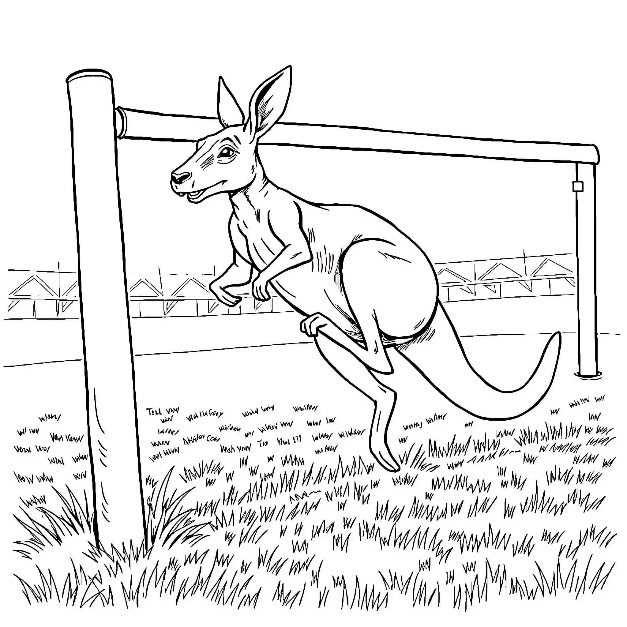 Kangaroo jumping over a fence Coloring Page (free black-and-white line drawing printable PDF for all, from beginners to advanced learners, including children, teens, adults, and seniors)