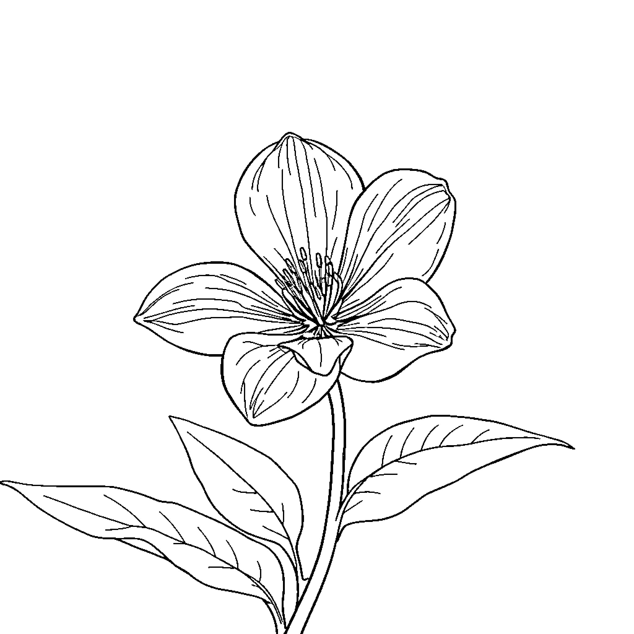 Flower with detailed petals and leaves Coloring Page (free black-and-white line drawing printable PDF for all, from beginners to advanced learners, including children, teens, adults, and seniors)
