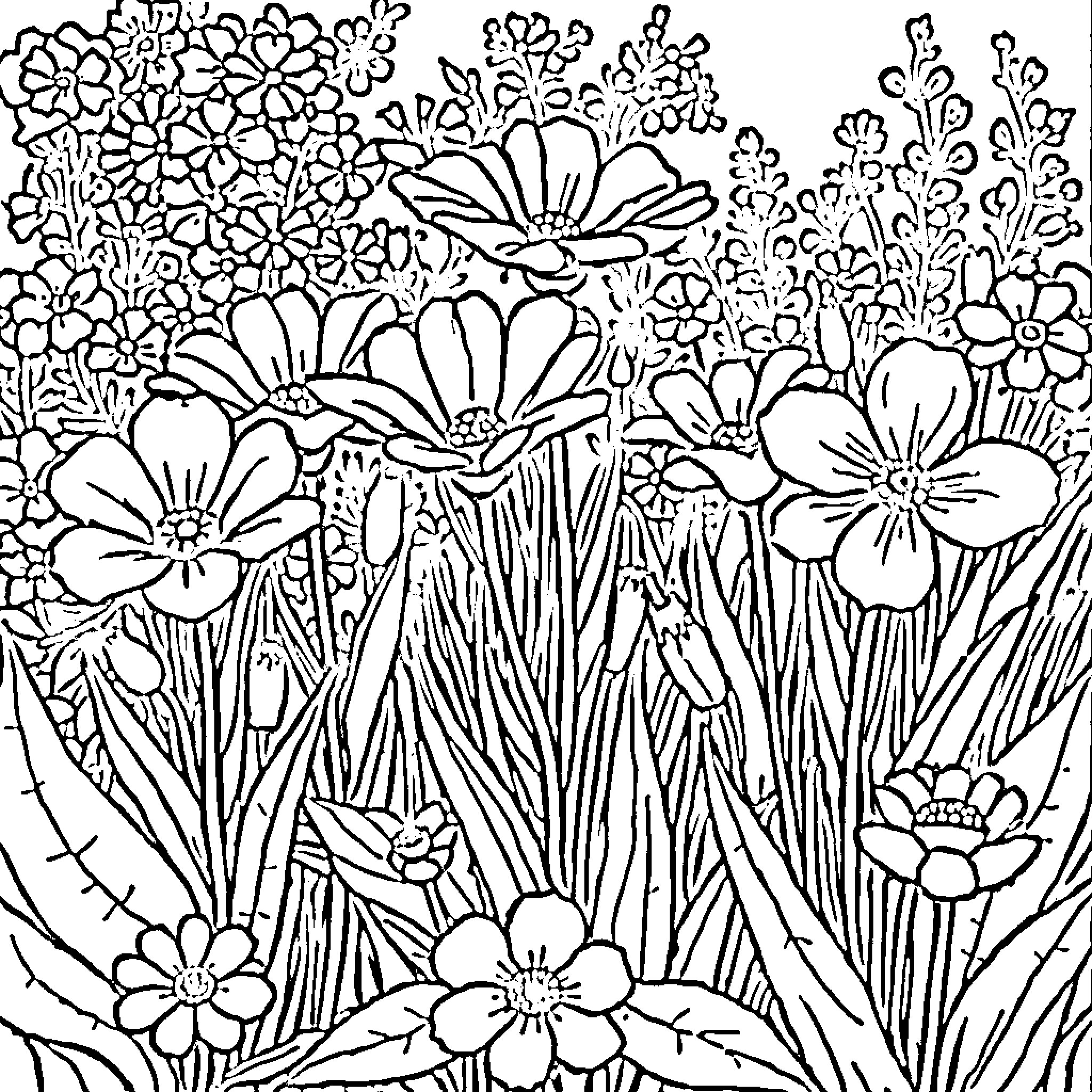 Flower Garden with Blooming Flowers Coloring Page (free black-and-white line drawing printable PDF for all, from beginners to advanced learners, including children, teens, adults, and seniors)