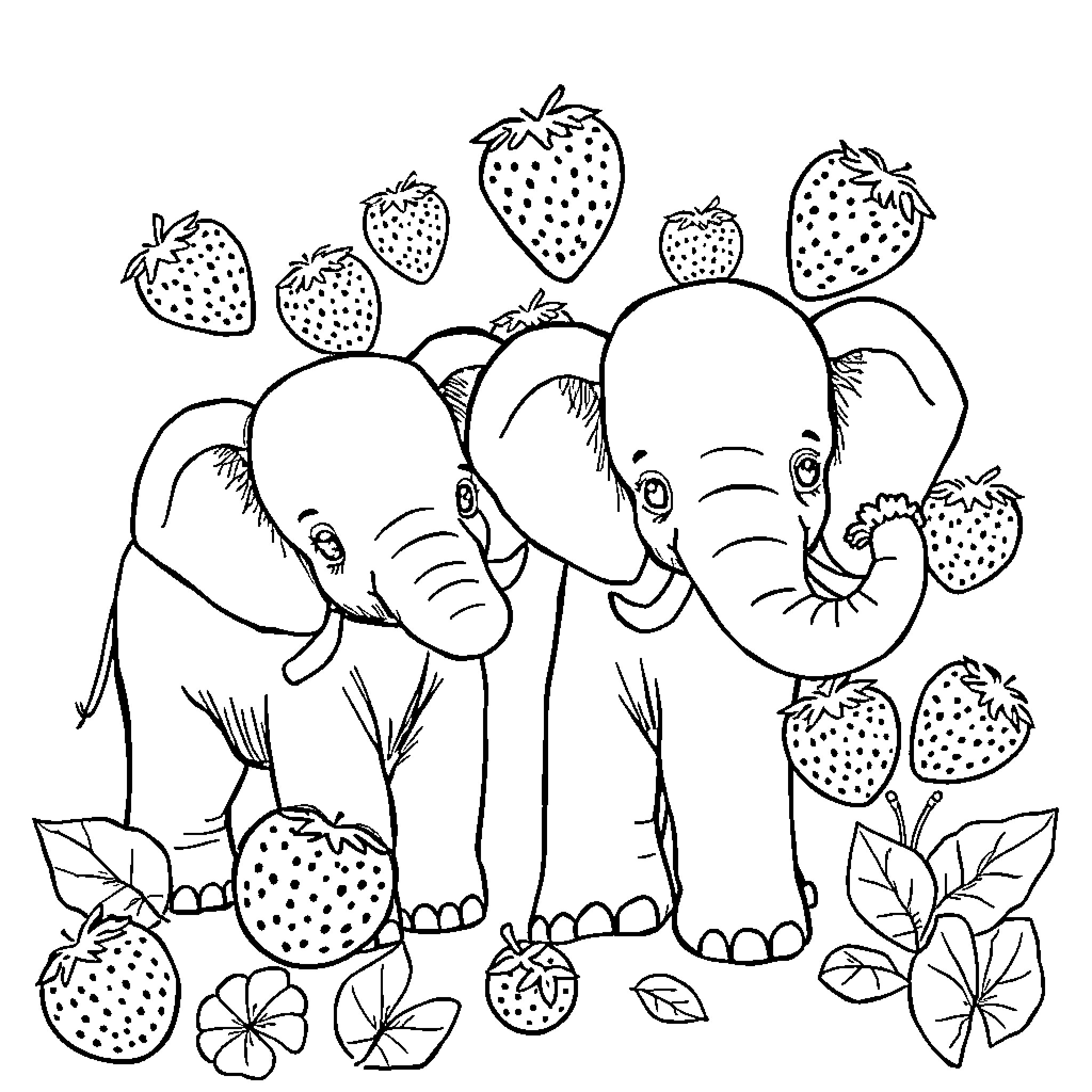 Elephant family surrounded by strawberries Coloring Page (free black-and-white line drawing printable PDF for all, from beginners to advanced learners, including children, teens, adults, and seniors)