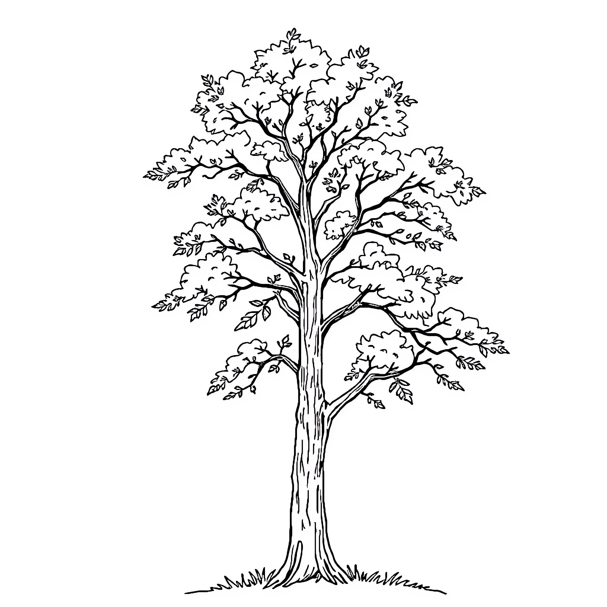 Tree with detailed, intricate branches Coloring Page (free black-and-white line drawing printable PDF for all, from beginners to advanced learners, including children, teens, adults, and seniors)