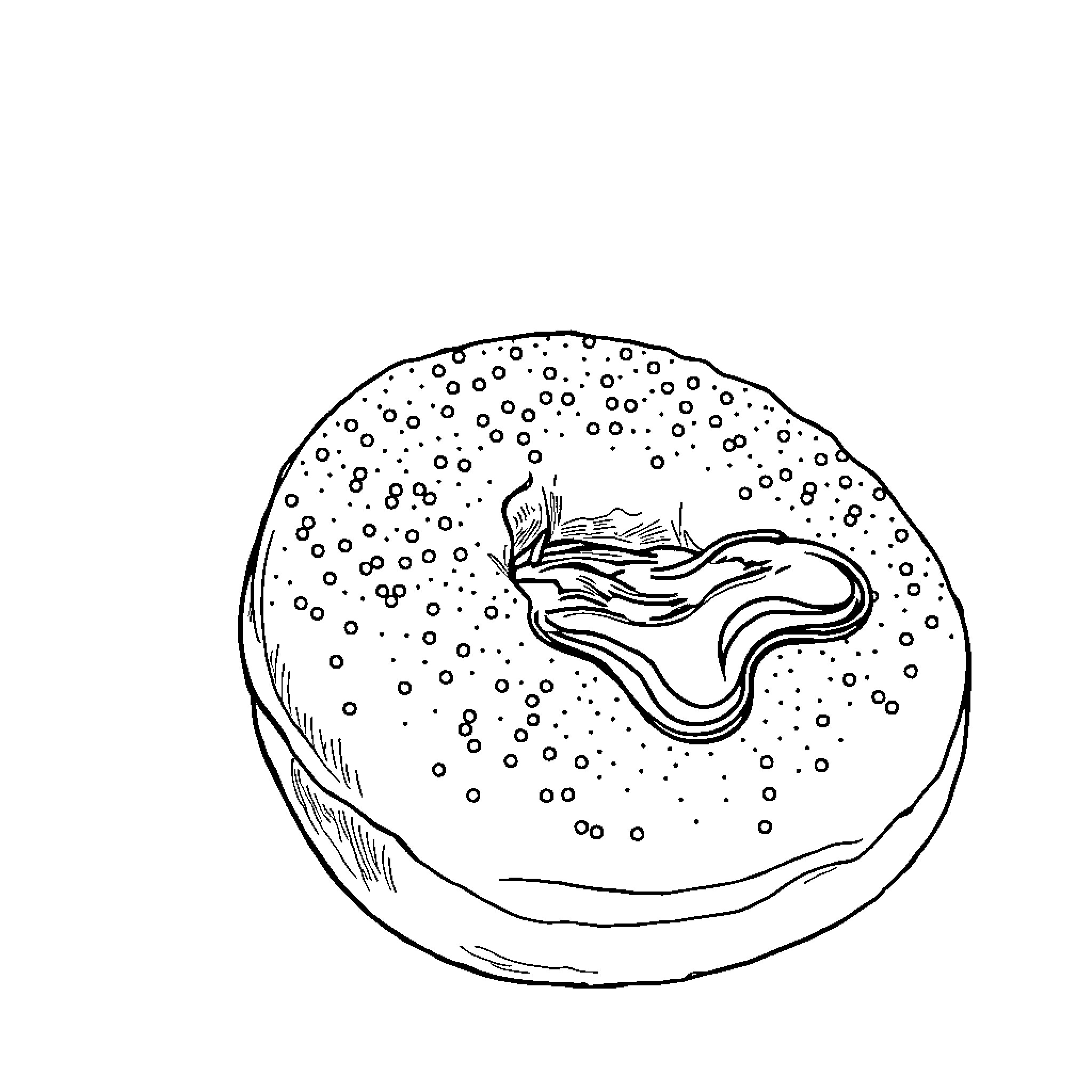 Doughnut with mysterious marine creature Coloring Page (free black-and-white line drawing printable PDF for all, from beginners to advanced learners, including children, teens, adults, and seniors)