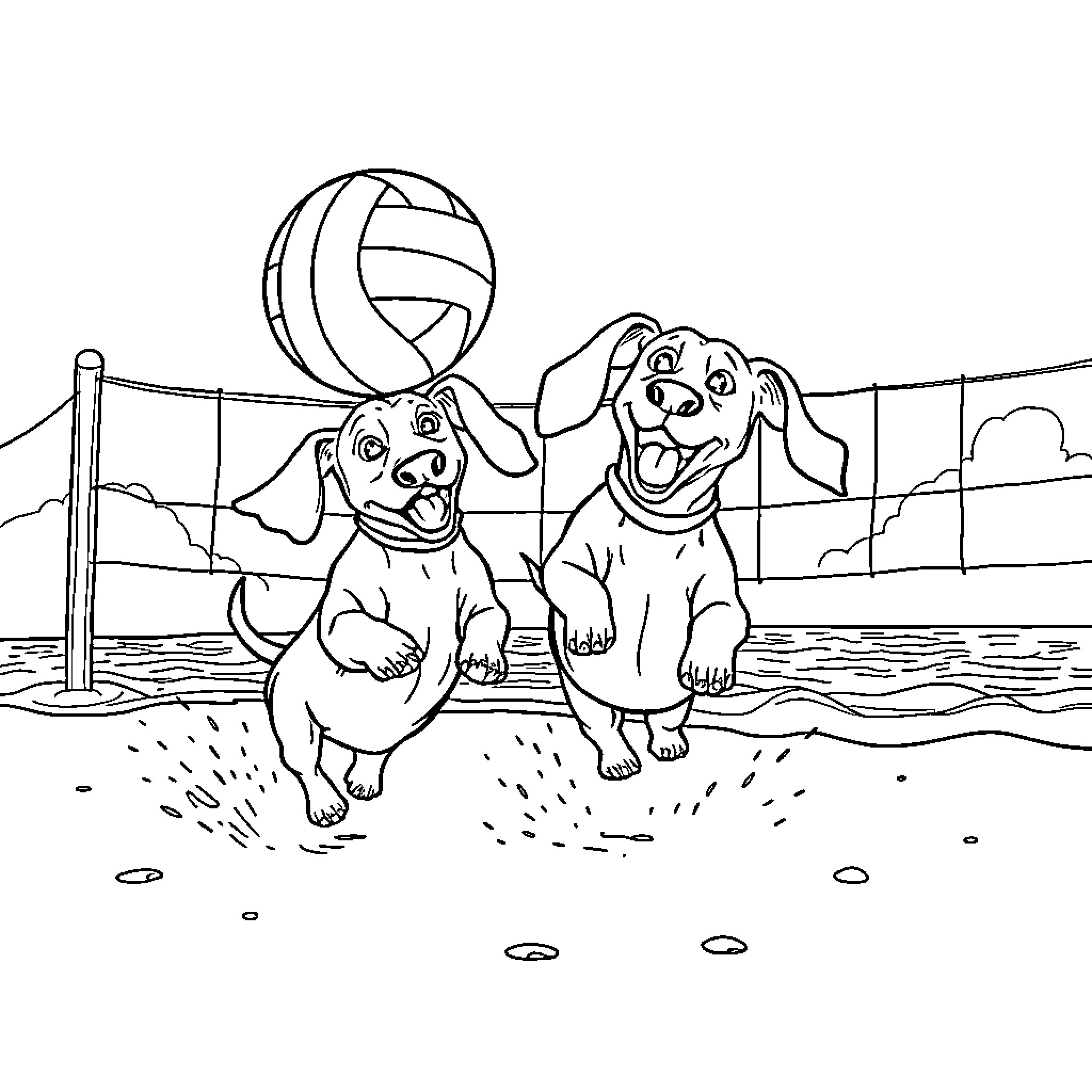 Dachshund dogs playing volleyball on the beach Coloring Page (free black-and-white line drawing printable PDF for all, from beginners to advanced learners, including children, teens, adults, and seniors)