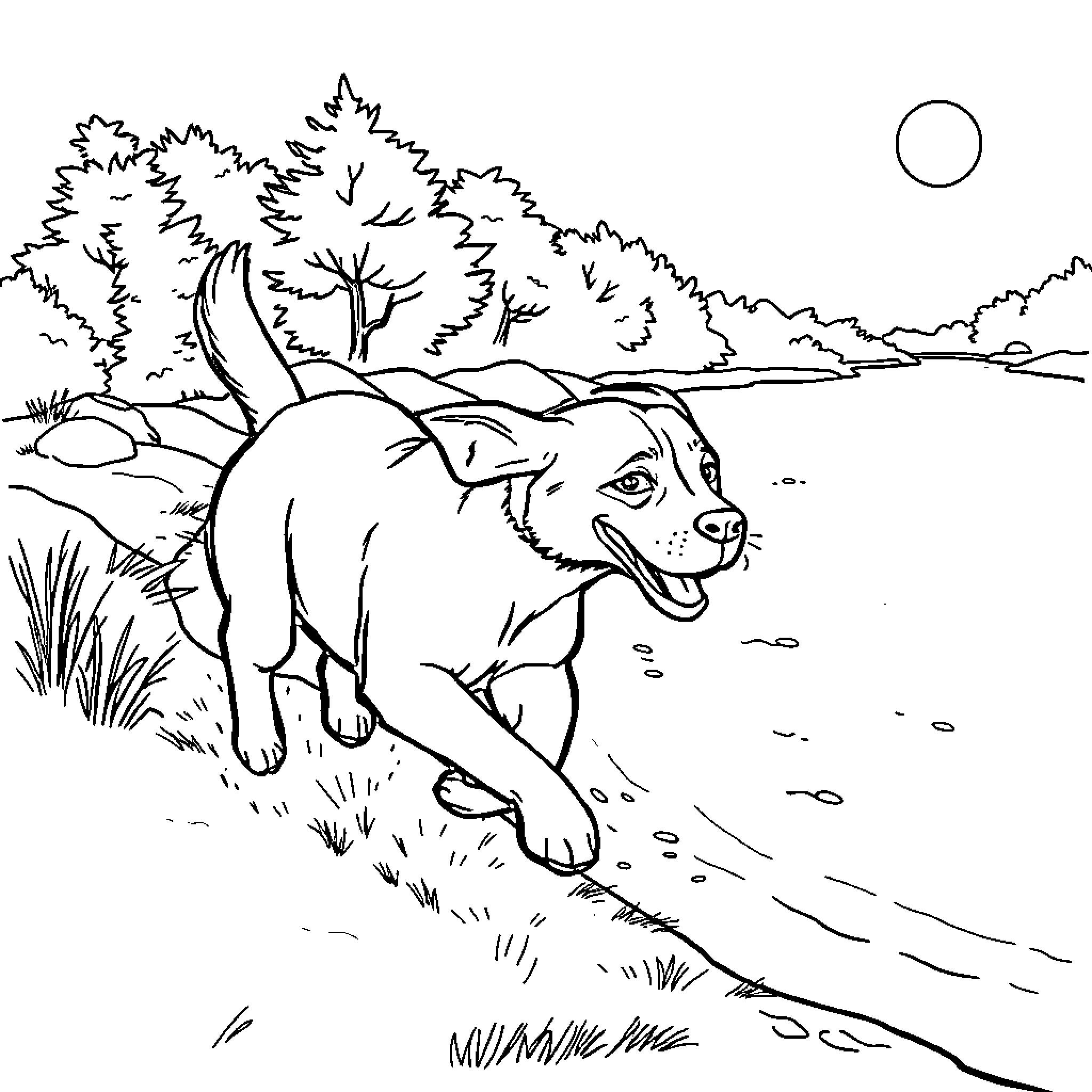 Dog running happily through the forest landscape Coloring Page (free black-and-white line drawing printable PDF for all, from beginners to advanced learners, including children, teens, adults, and seniors)