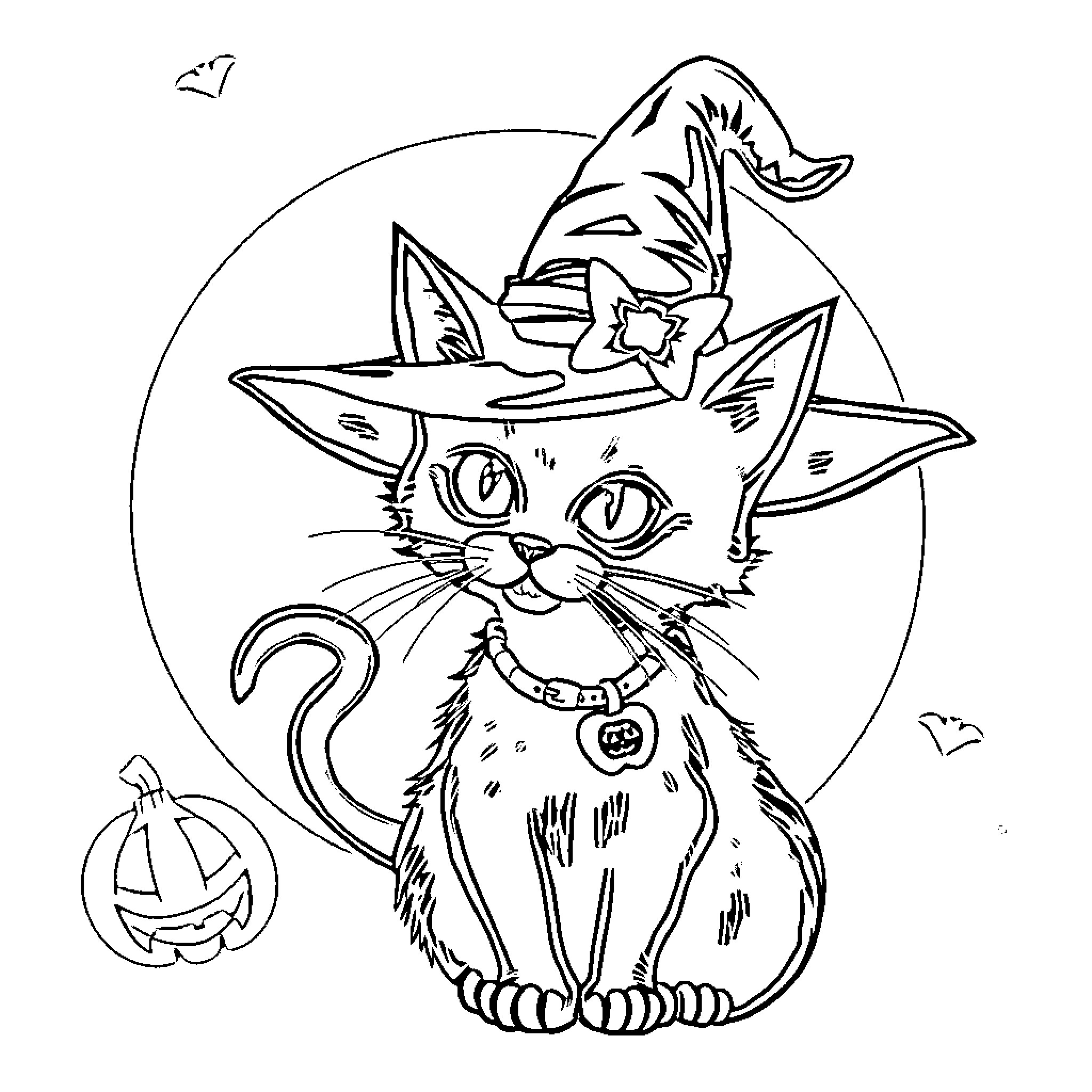 Cat wearing witch hat and sitting by pumpkin Coloring Page (free black-and-white line drawing printable PDF for all, from beginners to advanced learners, including children, teens, adults, and seniors)