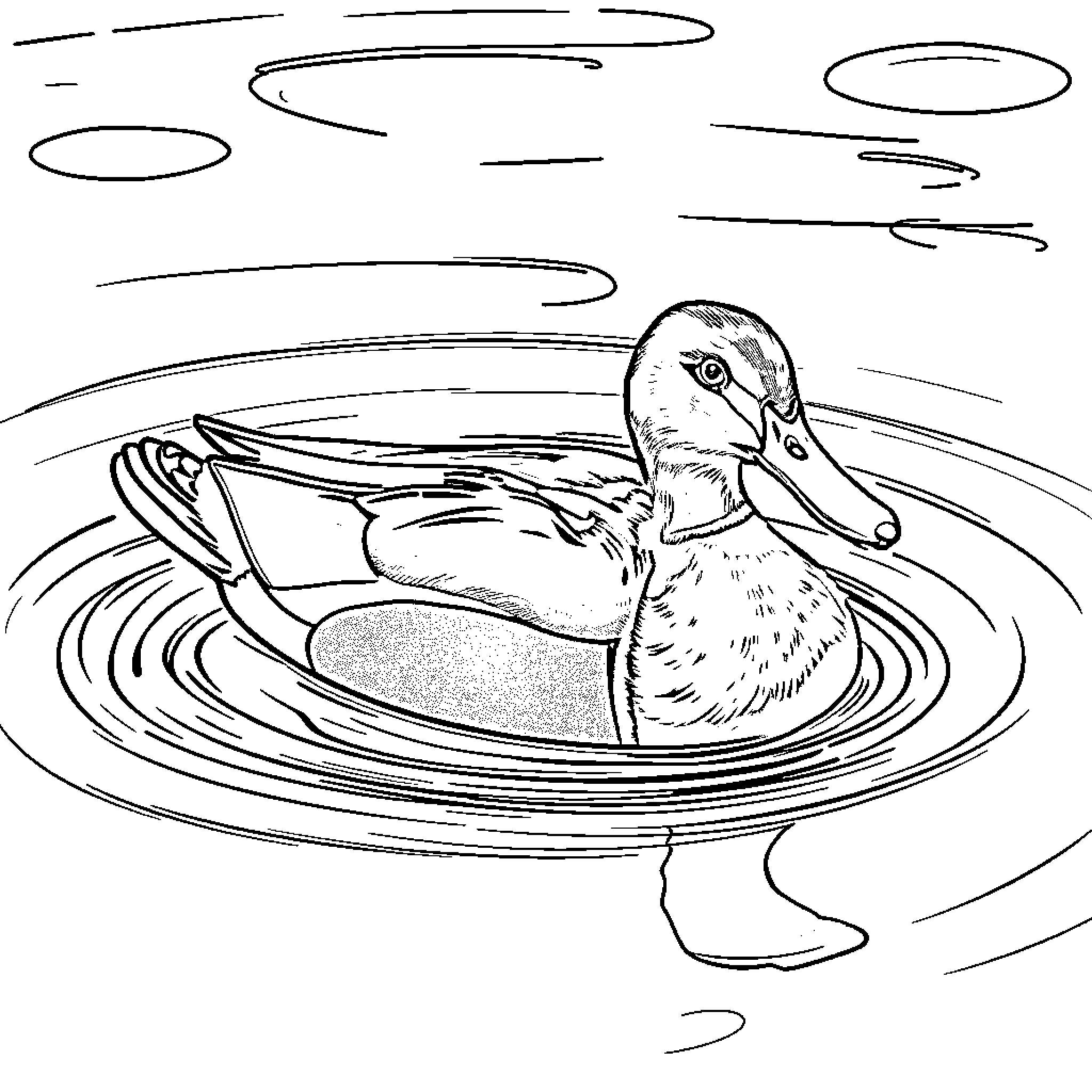 Duck swimming gracefully in a tranquil pond Coloring Page (free black-and-white line drawing printable PDF for all, from beginners to advanced learners, including children, teens, adults, and seniors)