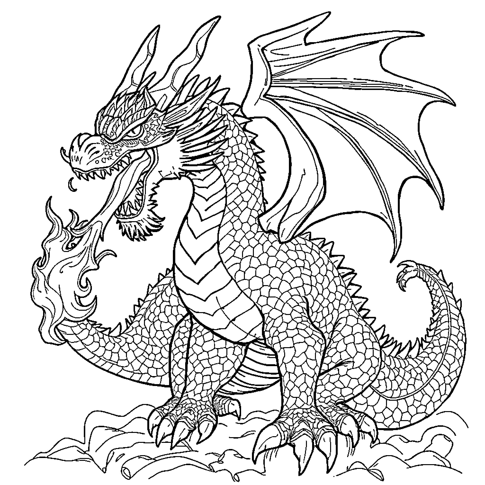 Dragon in fierce pose, with detailed scales and wings Coloring Page (free black-and-white line drawing printable PDF for all, from beginners to advanced learners, including children, teens, adults, and seniors)