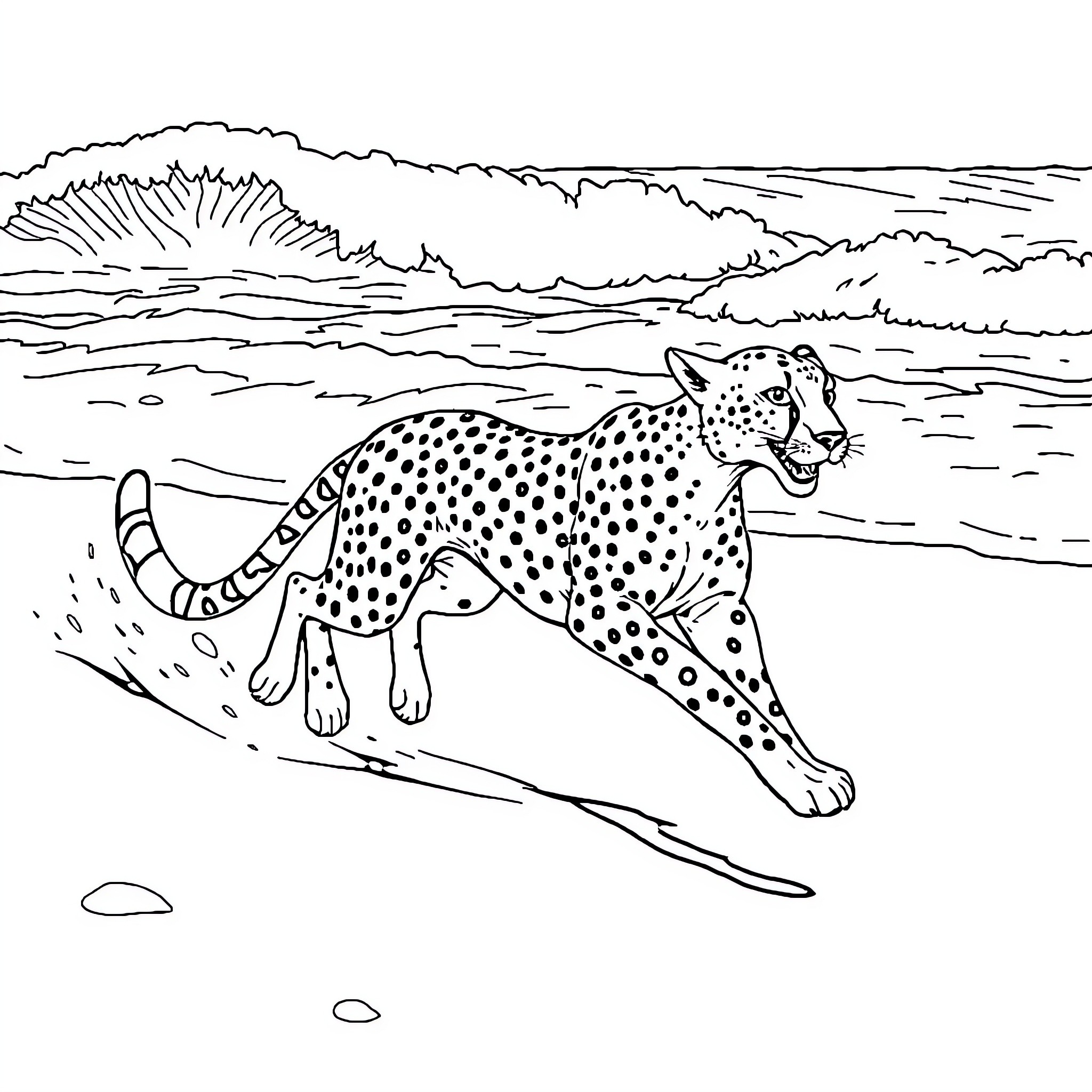 Cheetah prowling across the savanna Coloring Page (free black-and-white line drawing printable PDF for all, from beginners to advanced learners, including children, teens, adults, and seniors)