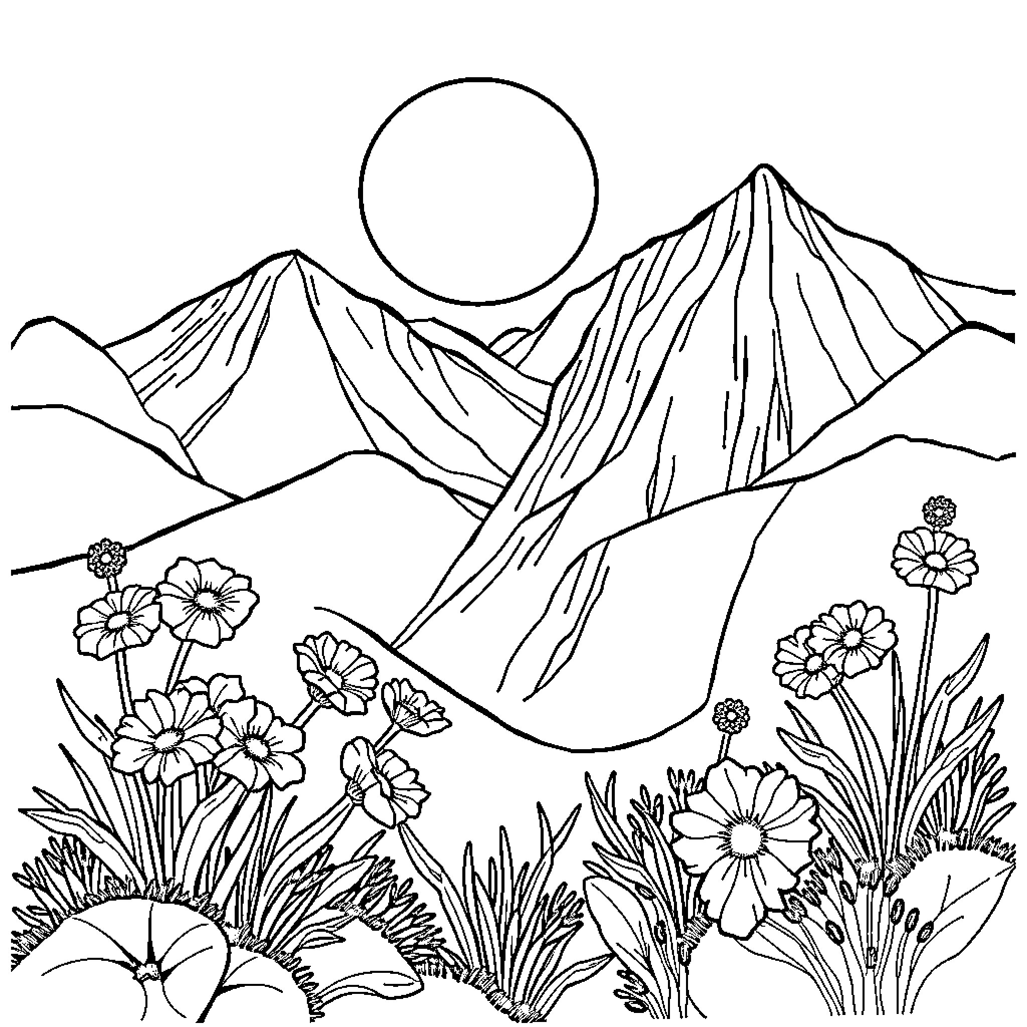 Monkey in the Mountainous Meadow Coloring Page (free black-and-white line drawing printable PDF for all, from beginners to advanced learners, including children, teens, adults, and seniors)