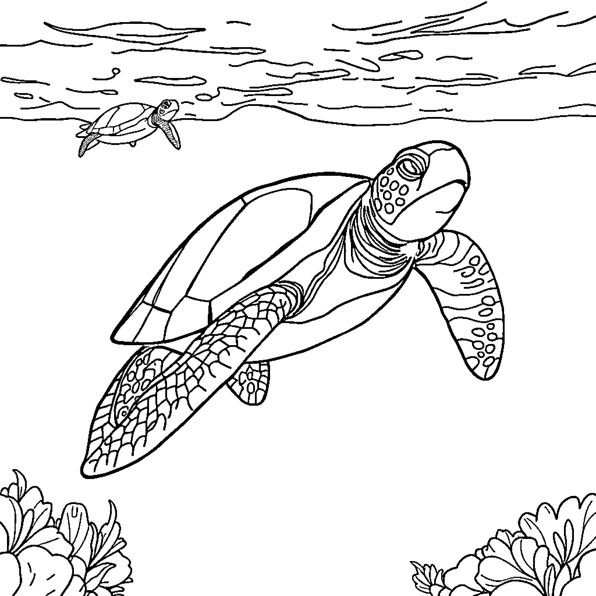 Sea Turtles Swimming in the Ocean Coloring Page (free black-and-white line drawing printable PDF for all, from beginners to advanced learners, including children, teens, adults, and seniors)