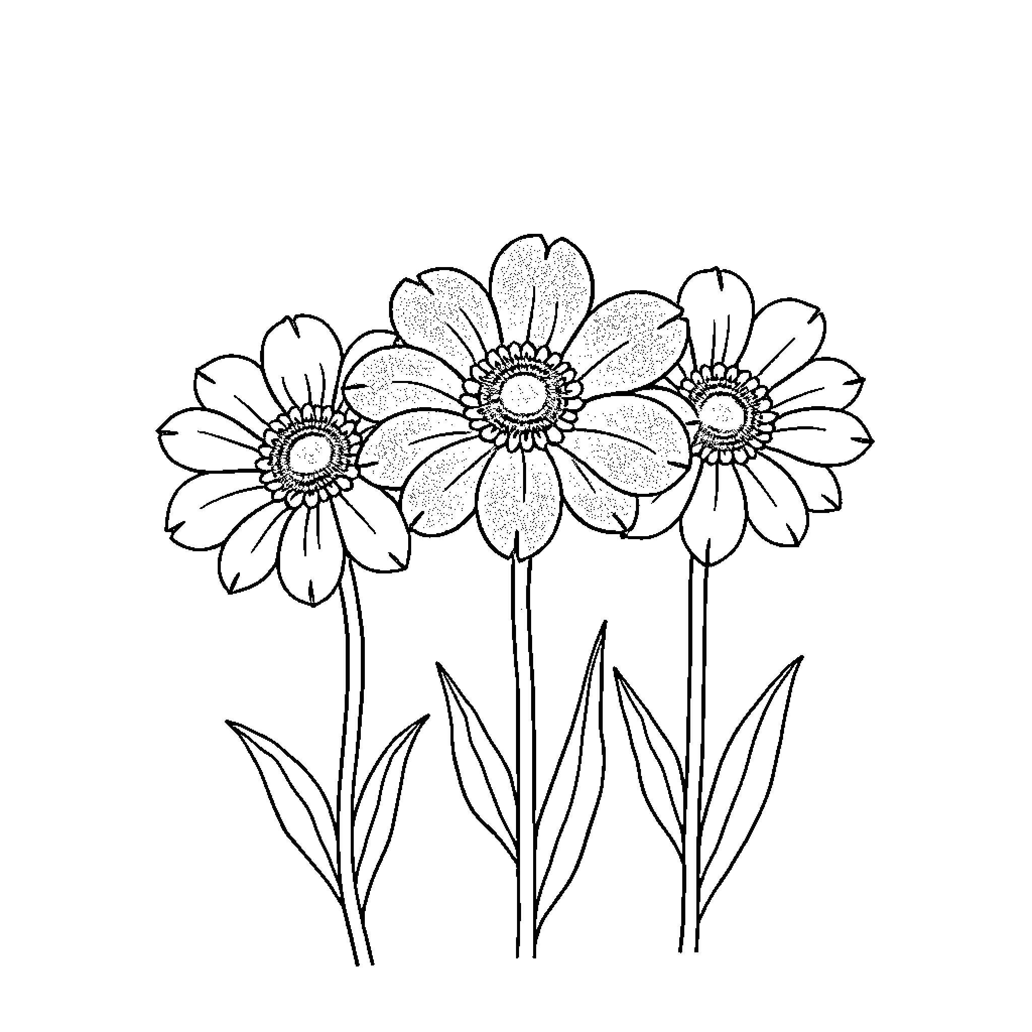 Flower cluster in delicate outline Coloring Page (free black-and-white line drawing printable PDF for all, from beginners to advanced learners, including children, teens, adults, and seniors)