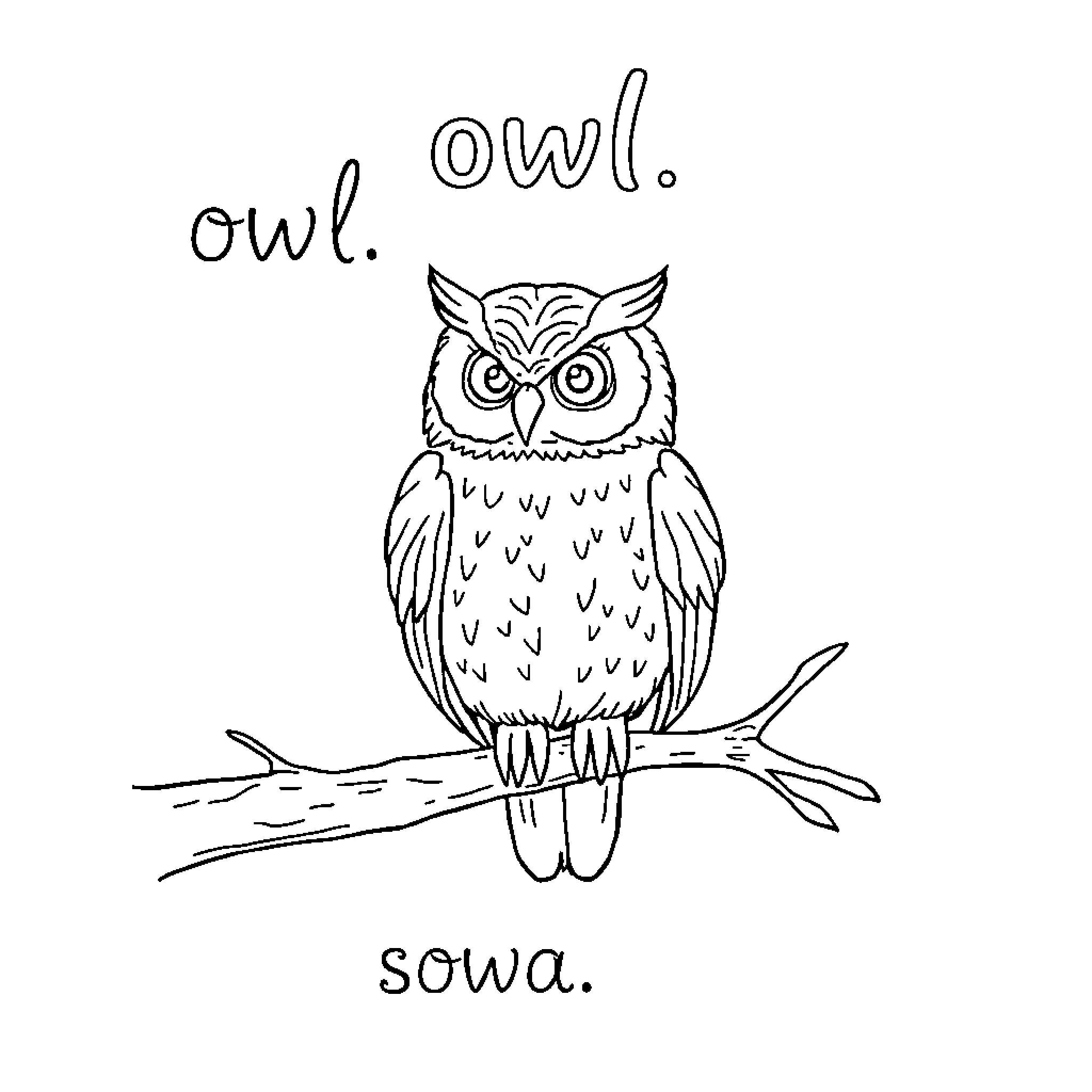 Owl perched on branch expressing surprise Coloring Page (free black-and-white line drawing printable PDF for all, from beginners to advanced learners, including children, teens, adults, and seniors)