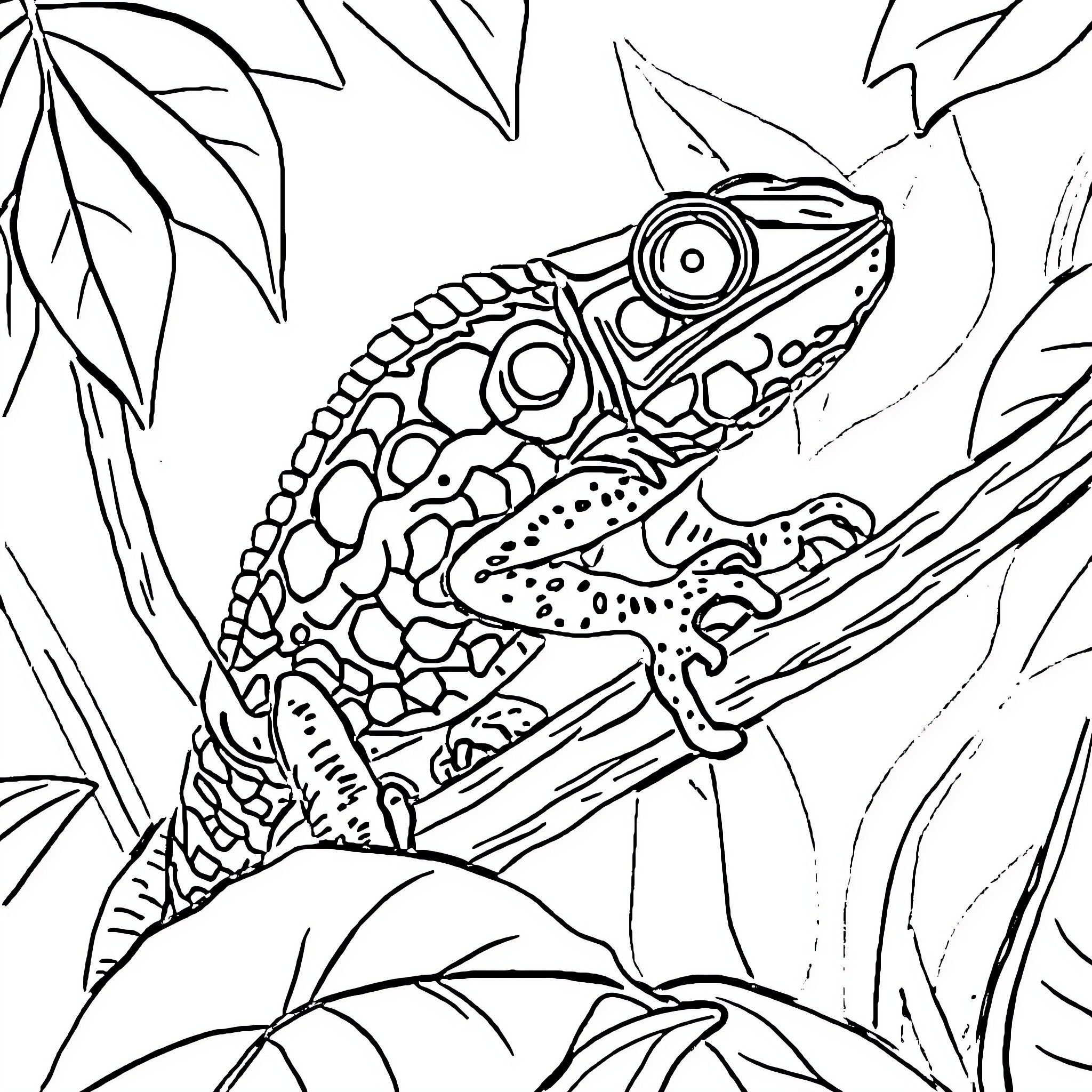 Chameleon exploring the lush foliage Coloring Page (free black-and-white line drawing printable PDF for all, from beginners to advanced learners, including children, teens, adults, and seniors)