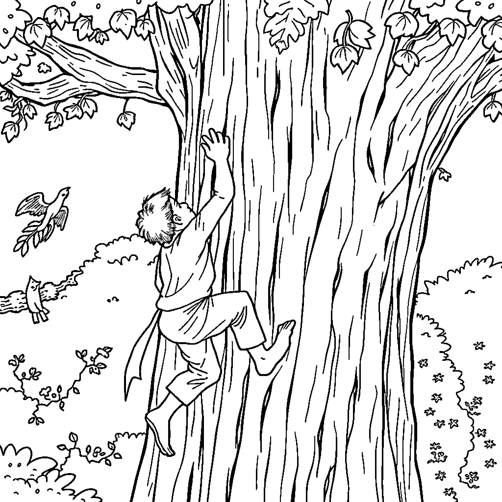 Pablo climbing up the towering tree in the forest Coloring Page (free black-and-white line drawing printable PDF for all, from beginners to advanced learners, including children, teens, adults, and seniors)