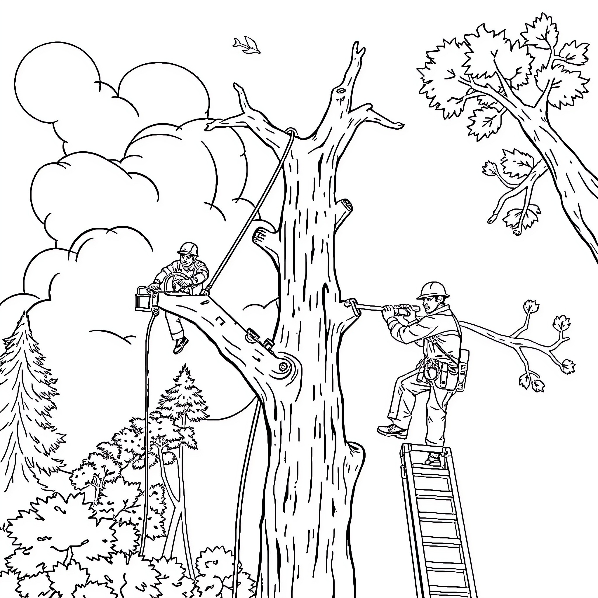 Tree Trimmers at Work in the Forest Coloring Page (free black-and-white line drawing printable PDF for all, from beginners to advanced learners, including children, teens, adults, and seniors)