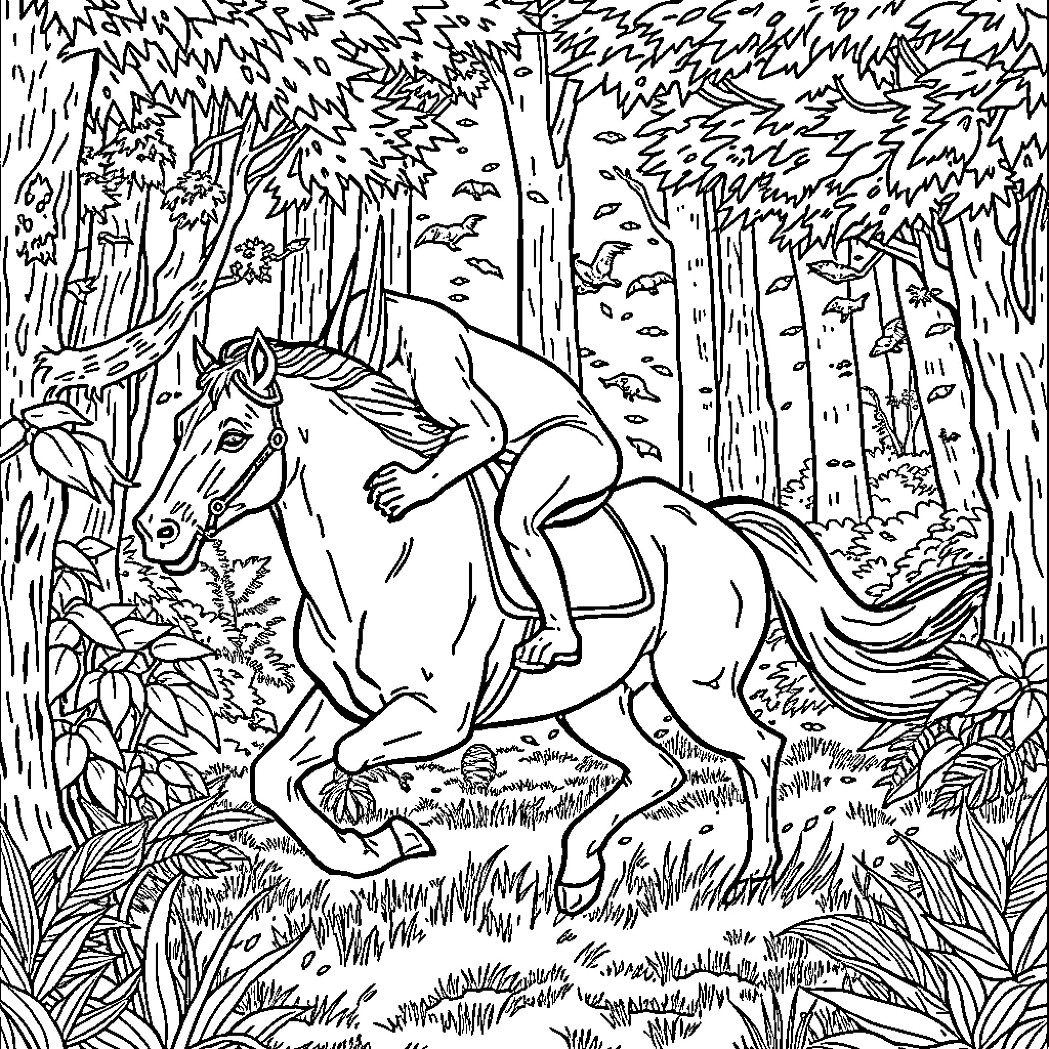 Panther riding a majestic horse through the forest Coloring Page (free black-and-white line drawing printable PDF for all, from beginners to advanced learners, including children, teens, adults, and seniors)