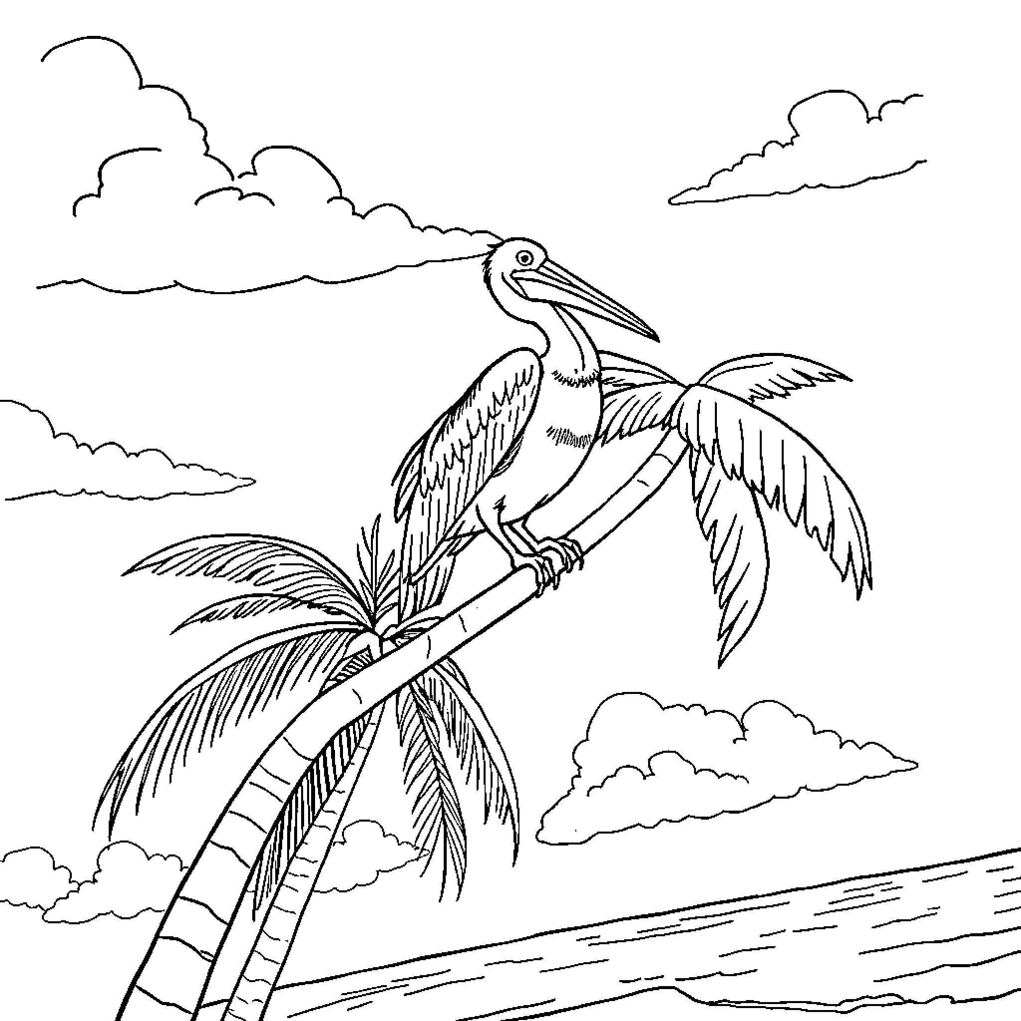 Pelican resting on palm tree in tropical landscape Coloring Page (free black-and-white line drawing printable PDF for all, from beginners to advanced learners, including children, teens, adults, and seniors)