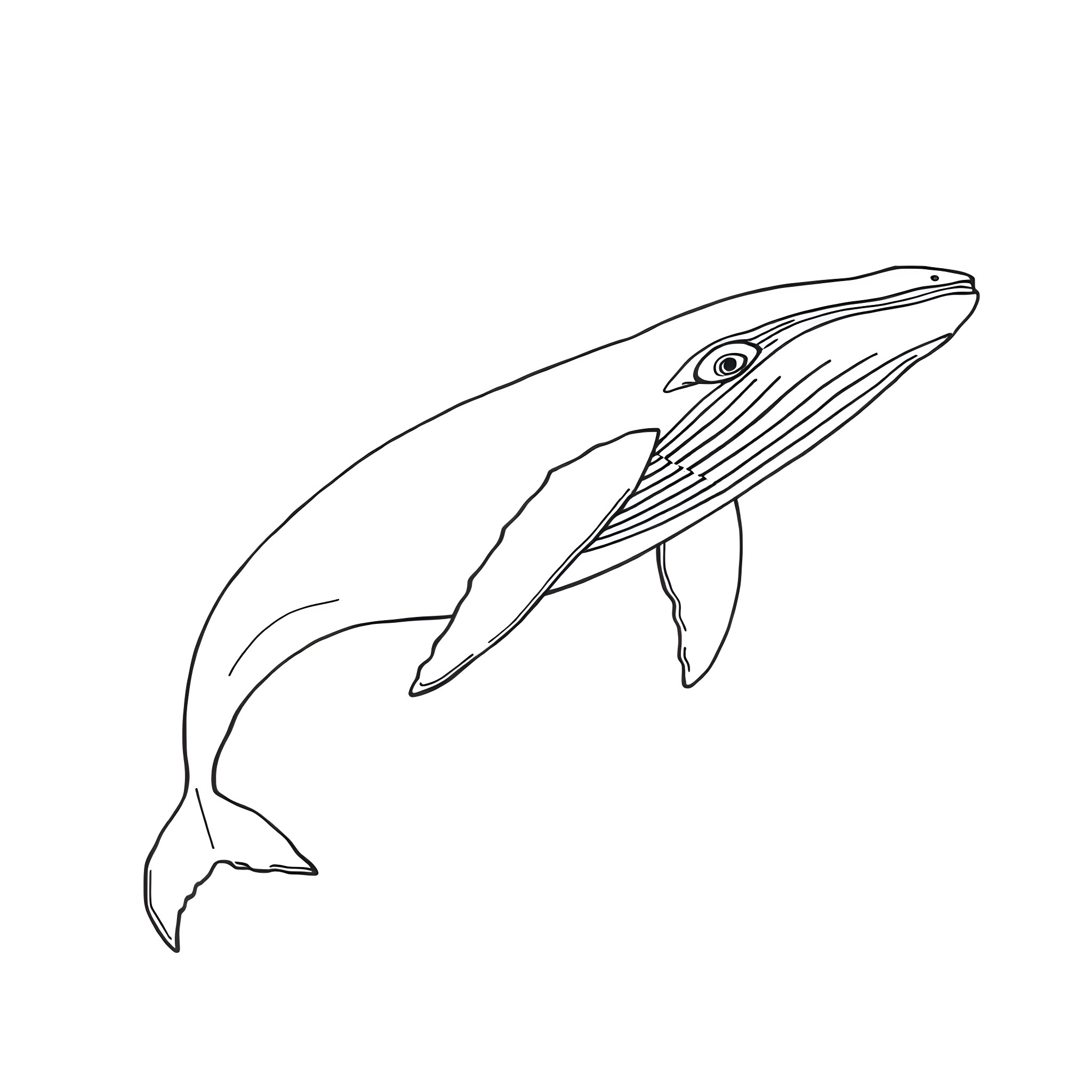 Whale jumping through the ocean Coloring Page (free black-and-white line drawing printable PDF for all, from beginners to advanced learners, including children, teens, adults, and seniors)