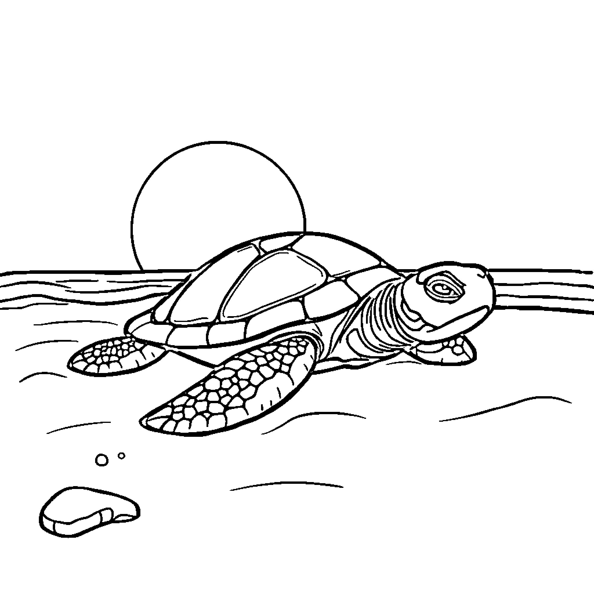 Turtle swimming in the ocean Coloring Page (free black-and-white line drawing printable PDF for all, from beginners to advanced learners, including children, teens, adults, and seniors)