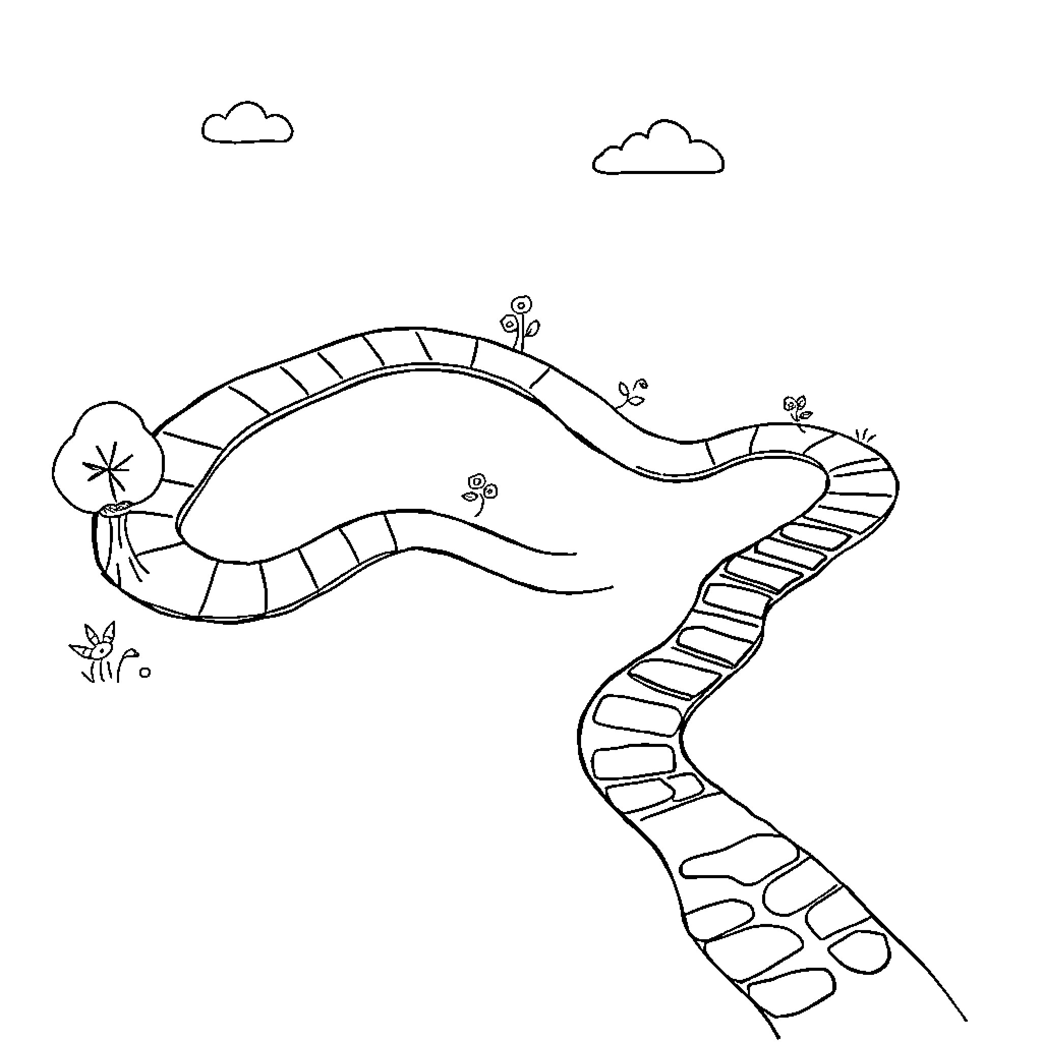 Serpent slithering along winding pathway Coloring Page (free black-and-white line drawing printable PDF for all, from beginners to advanced learners, including children, teens, adults, and seniors)