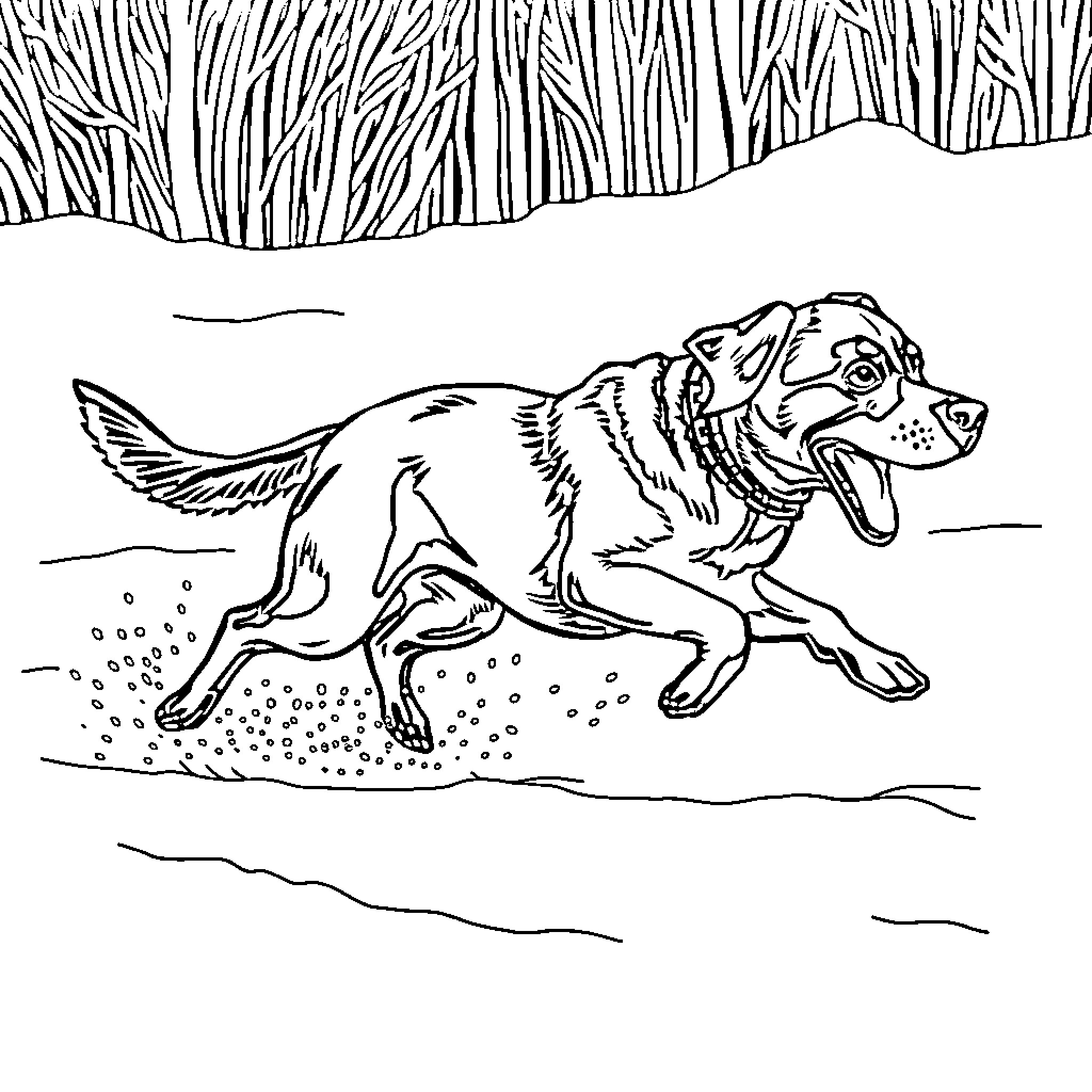 Lab animal running in nature Coloring Page (free black-and-white line drawing printable PDF for all, from beginners to advanced learners, including children, teens, adults, and seniors)
