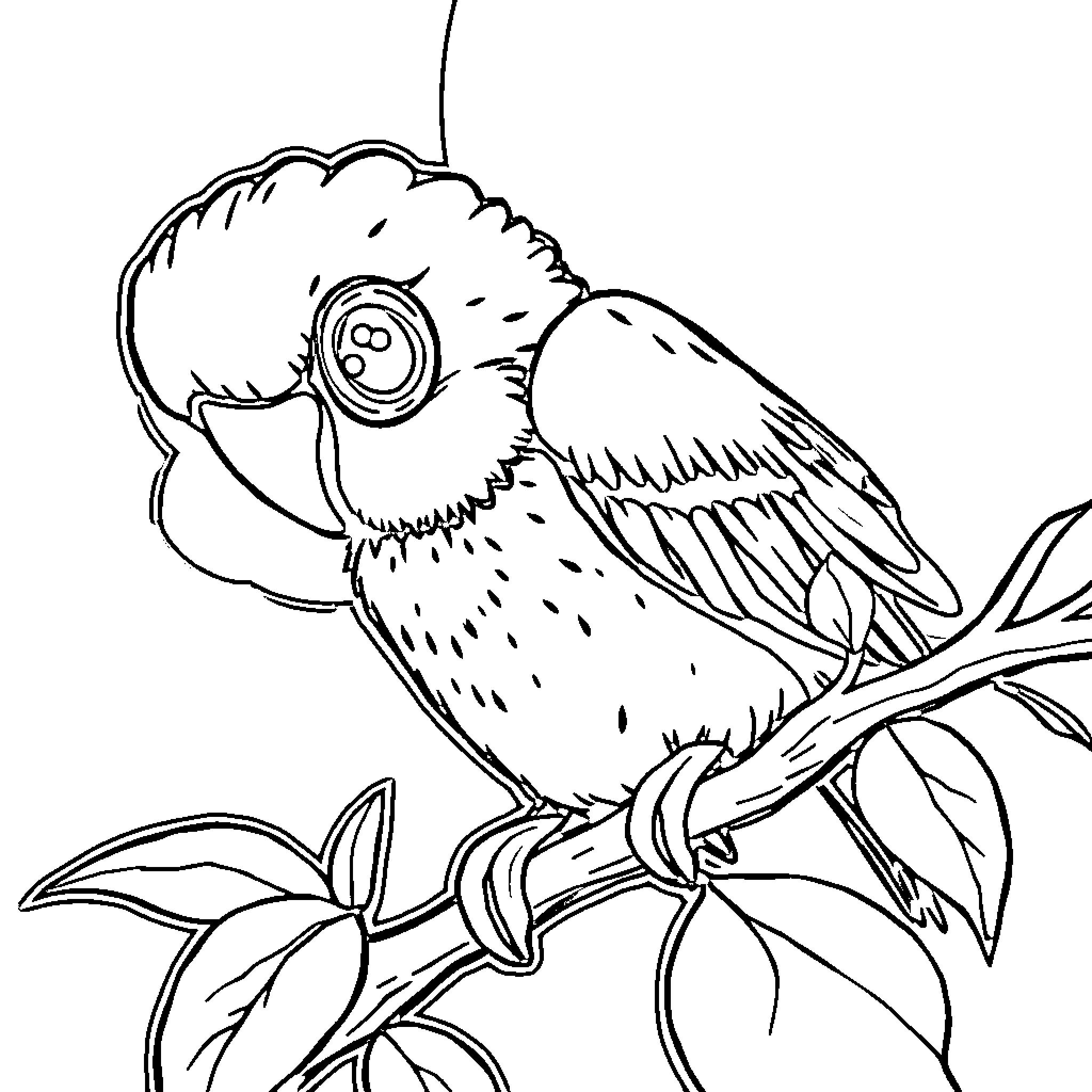 Vegetable-inspired Parrot on Leafy Branch Coloring Page (free black-and-white line drawing printable PDF for all, from beginners to advanced learners, including children, teens, adults, and seniors)