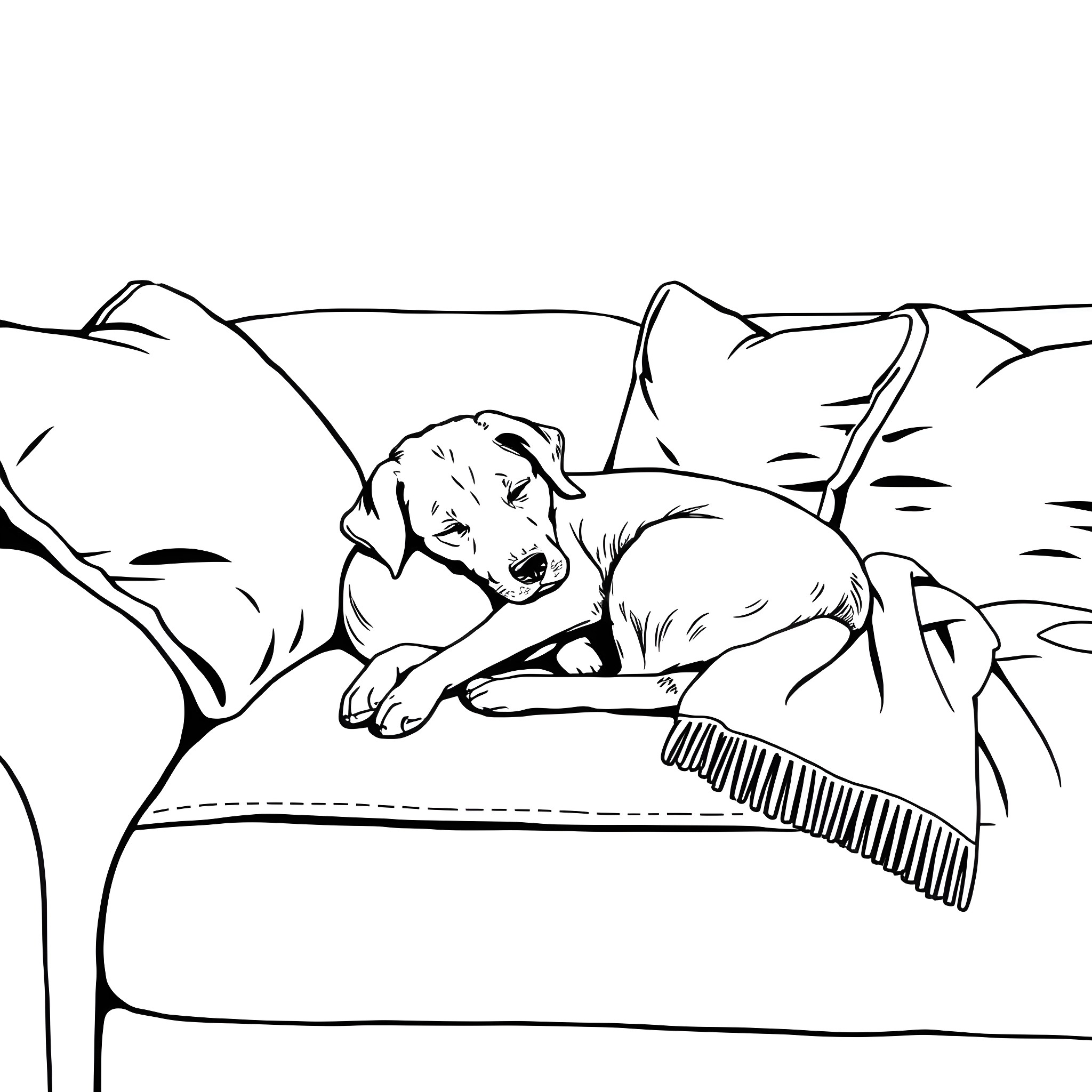 Dog sleeping comfortably on a couch Coloring Page (free black-and-white line drawing printable PDF for all, from beginners to advanced learners, including children, teens, adults, and seniors)