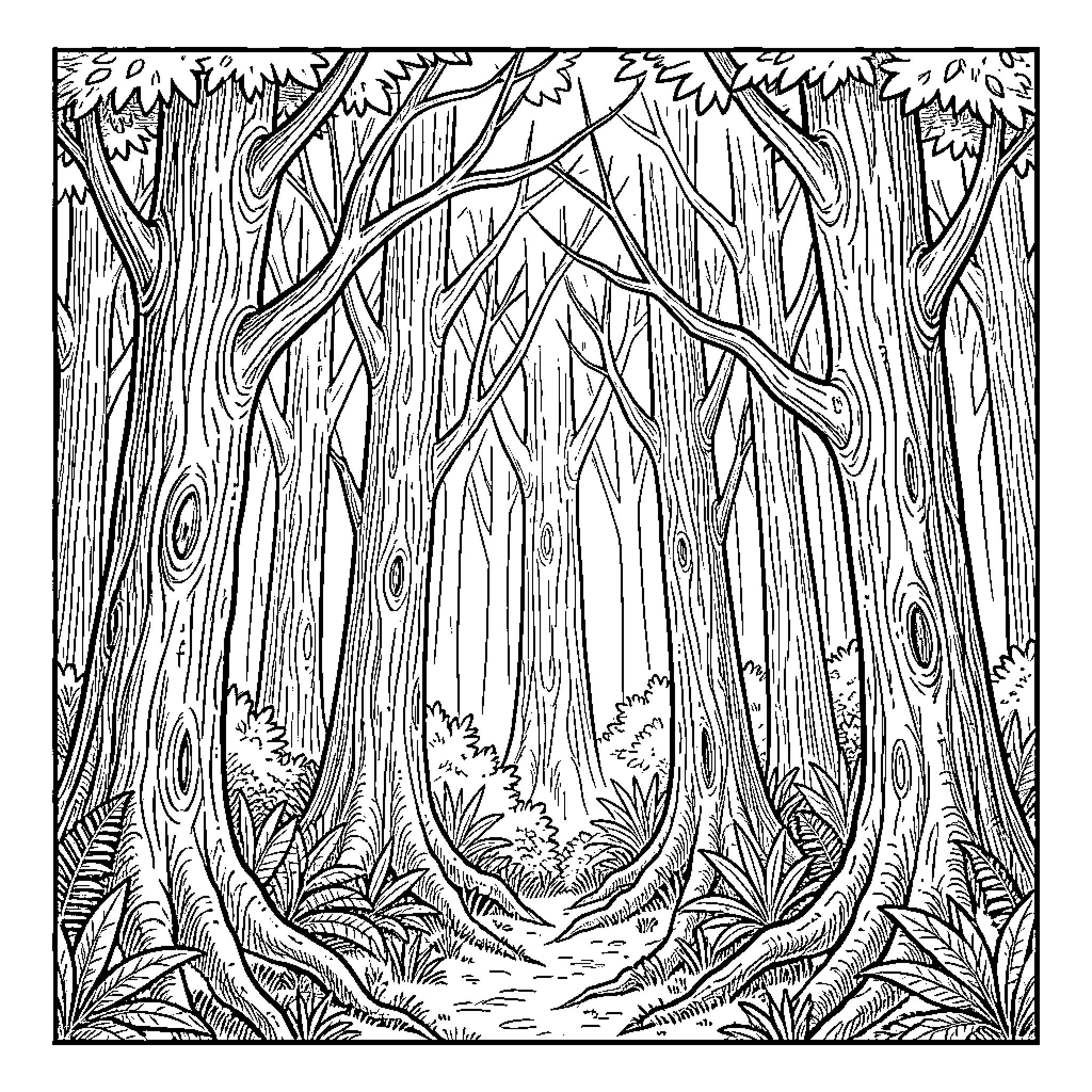 Bosque showing a dense path through tall trees Coloring Page (free black-and-white line drawing printable PDF for all, from beginners to advanced learners, including children, teens, adults, and seniors)