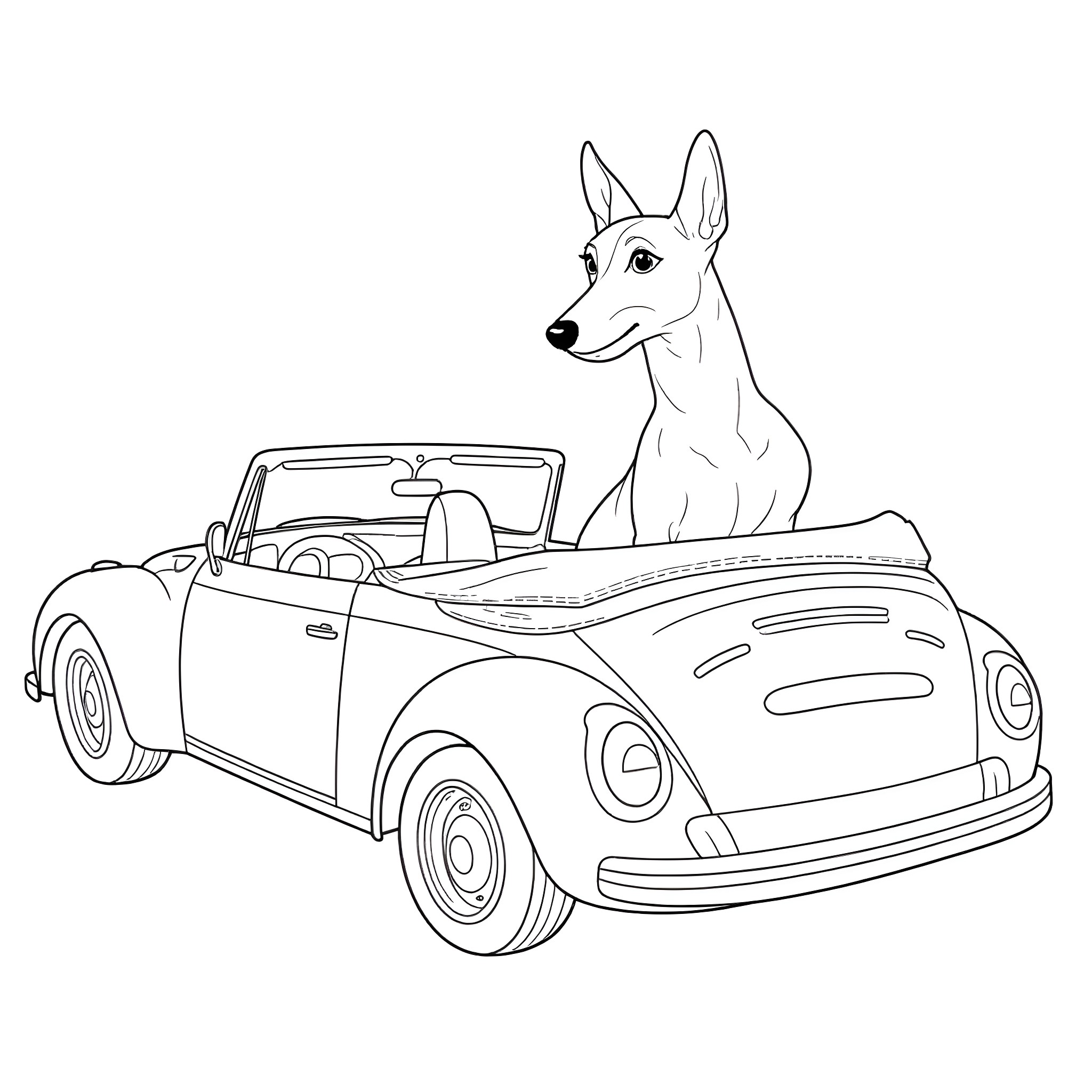 Italian Greyhound riding in a vintage convertible Coloring Page (free black-and-white line drawing printable PDF for all, from beginners to advanced learners, including children, teens, adults, and seniors)