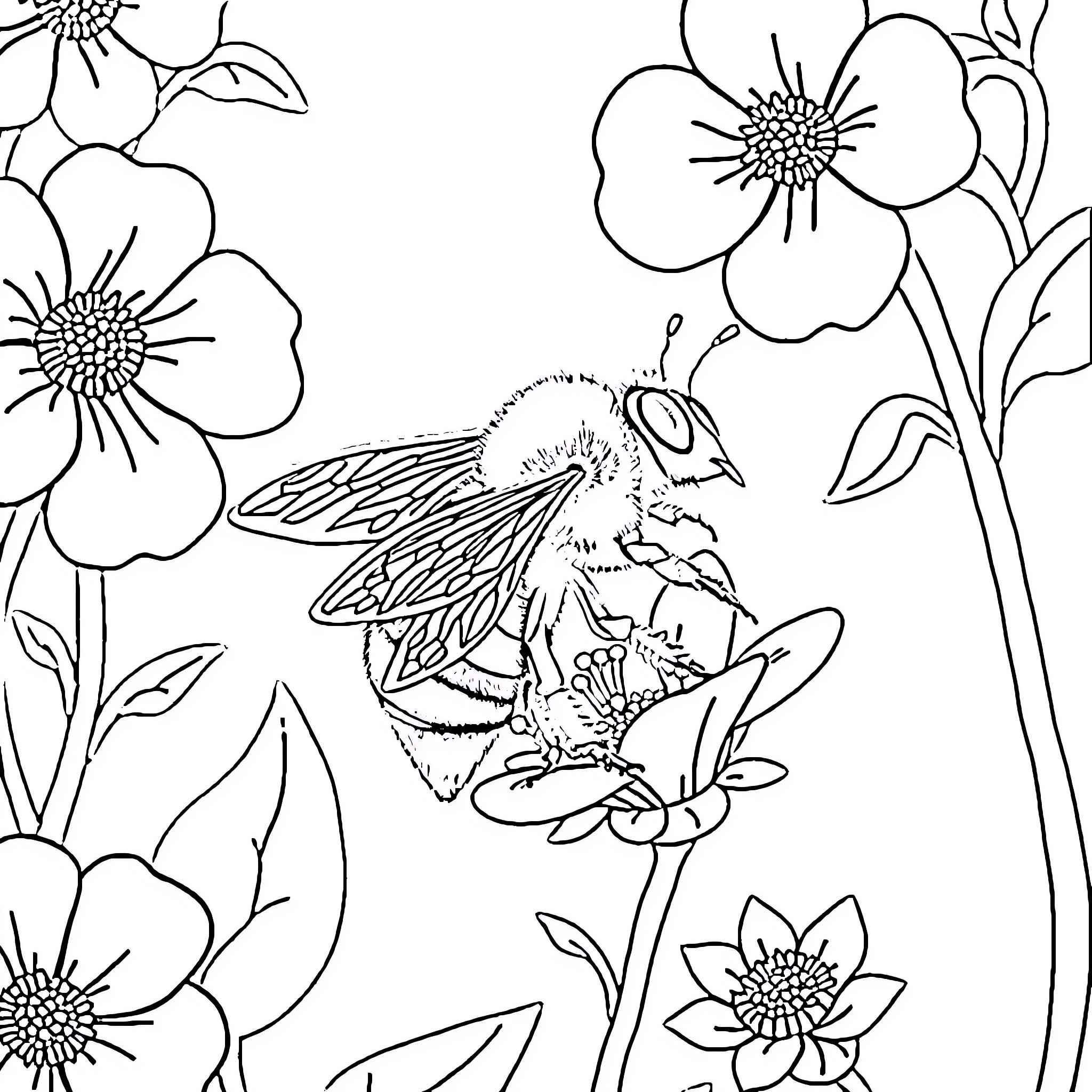 Bee pollinating beautiful flowers in nature Coloring Page (free black-and-white line drawing printable PDF for all, from beginners to advanced learners, including children, teens, adults, and seniors)