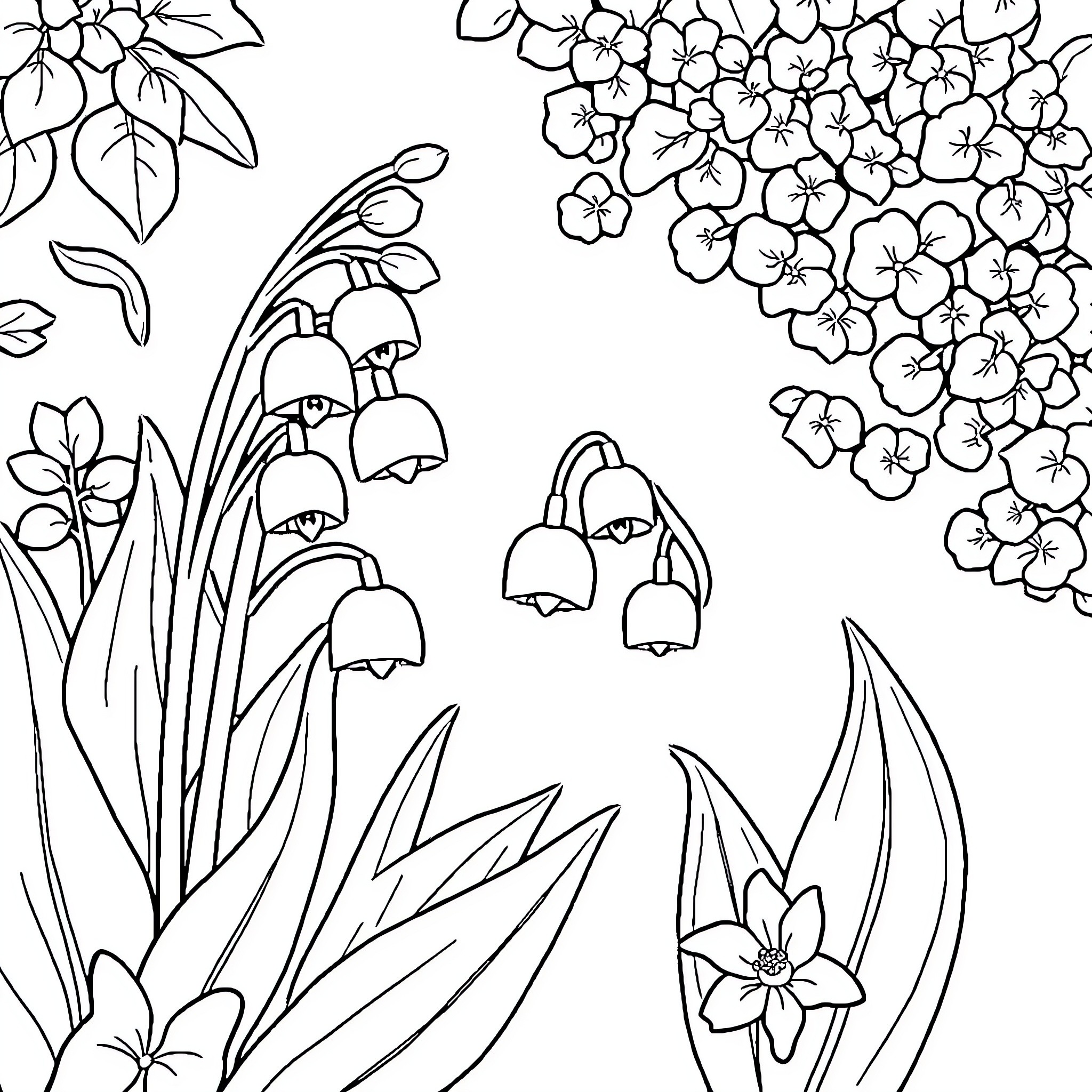 Lily's Floral Delight: Blooming Flowers and Delicate Petals Coloring Page (free black-and-white line drawing printable PDF for all, from beginners to advanced learners, including children, teens, adults, and seniors)