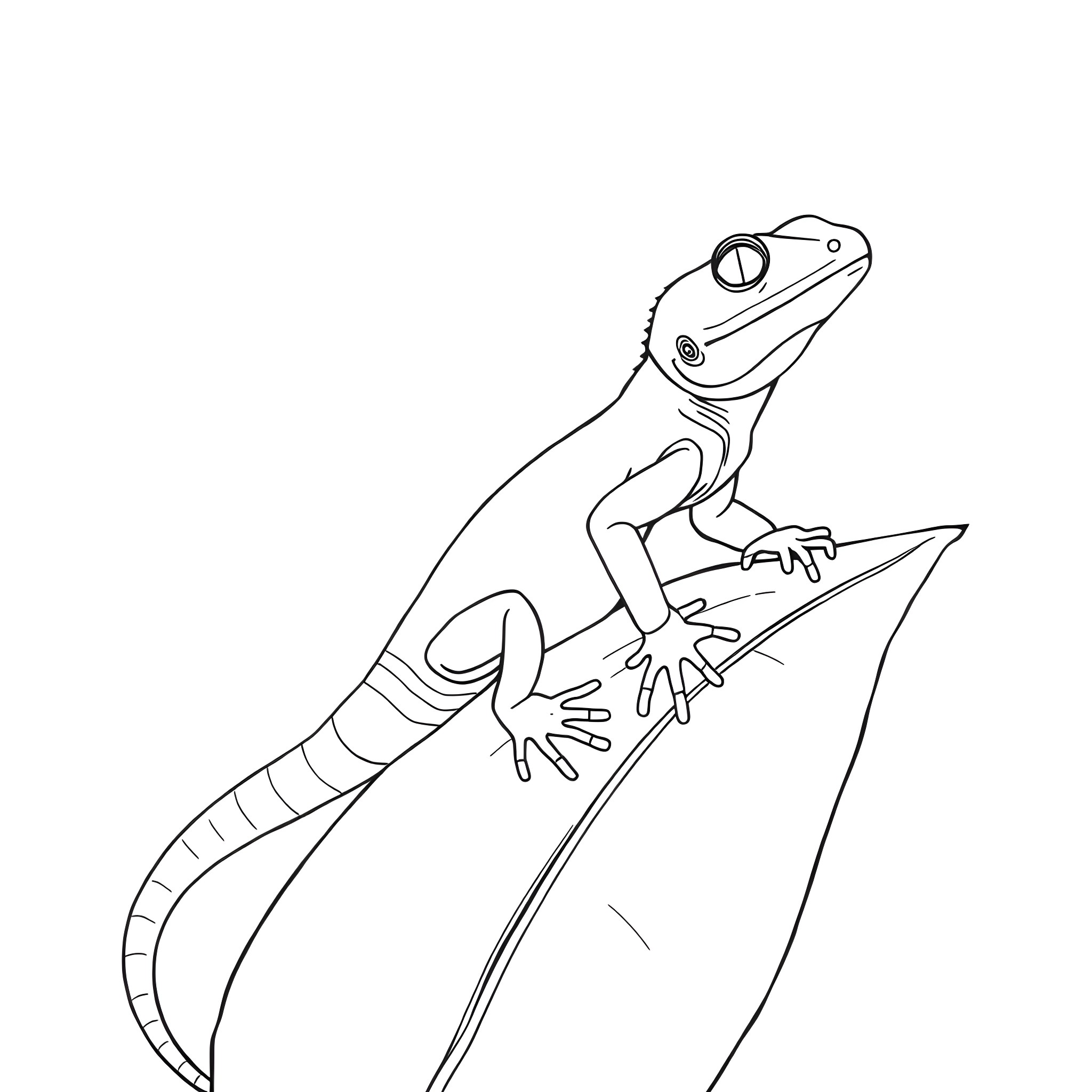 Skink climbing up a rock Coloring Page (free black-and-white line drawing printable PDF for all, from beginners to advanced learners, including children, teens, adults, and seniors)