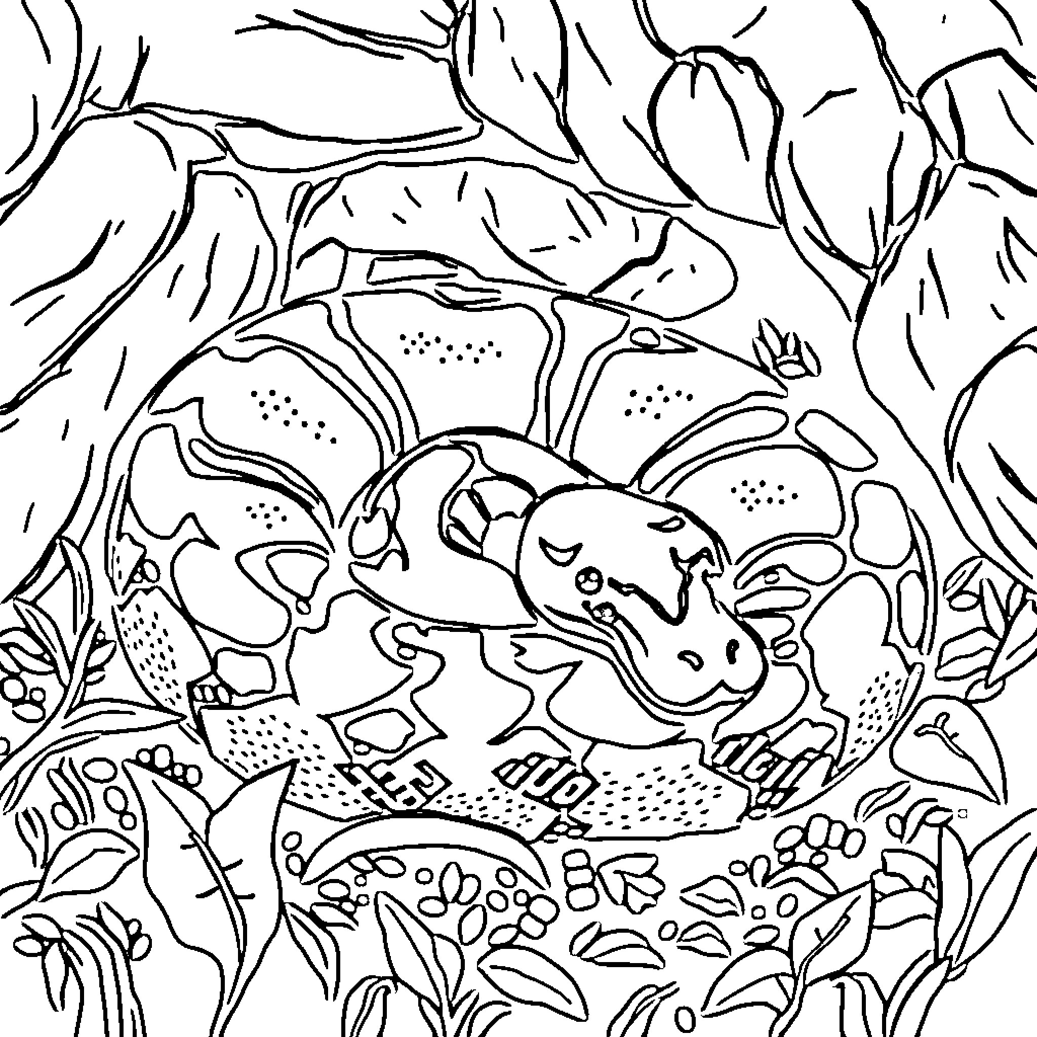 Ball Python exploring lush vegetation Coloring Page (free black-and-white line drawing printable PDF for all, from beginners to advanced learners, including children, teens, adults, and seniors)
