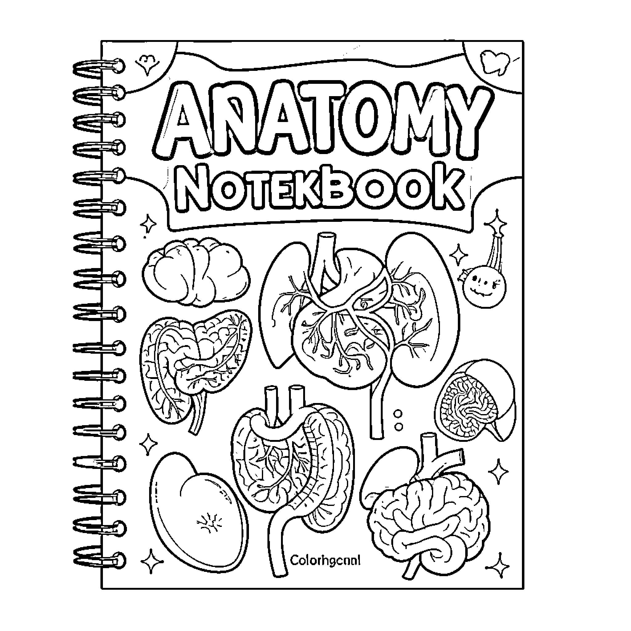 Anatomy of the Human Body: A Notebook Coloring Page (free black-and-white line drawing printable PDF for all, from beginners to advanced learners, including children, teens, adults, and seniors)