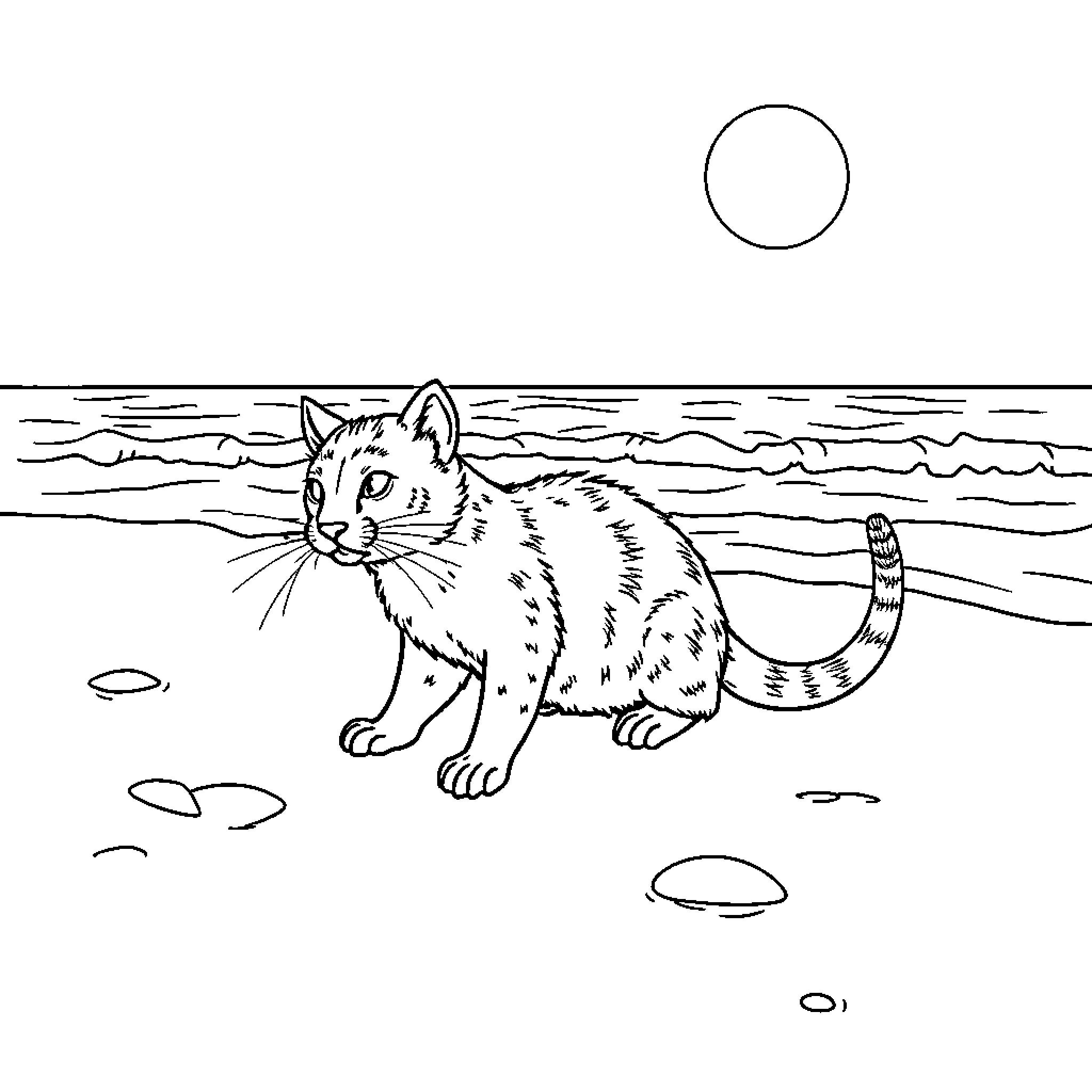 CatRat exploring the beach alone Coloring Page (free black-and-white line drawing printable PDF for all, from beginners to advanced learners, including children, teens, adults, and seniors)