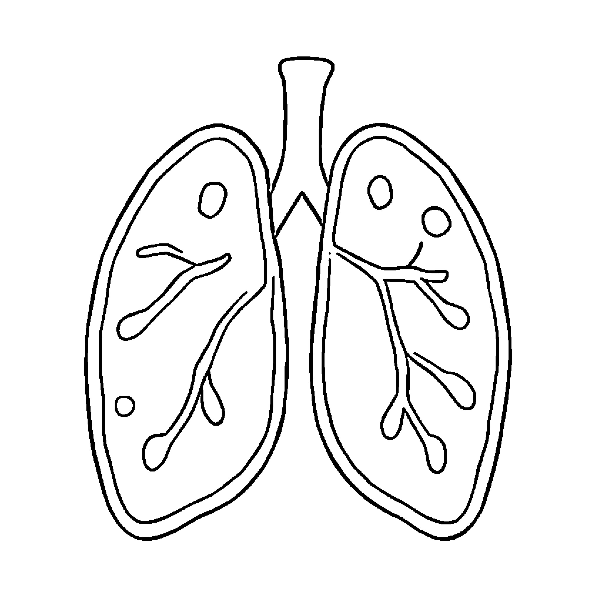 Lung Anatomy Illustration Coloring Page (free black-and-white line drawing printable PDF for all, from beginners to advanced learners, including children, teens, adults, and seniors)