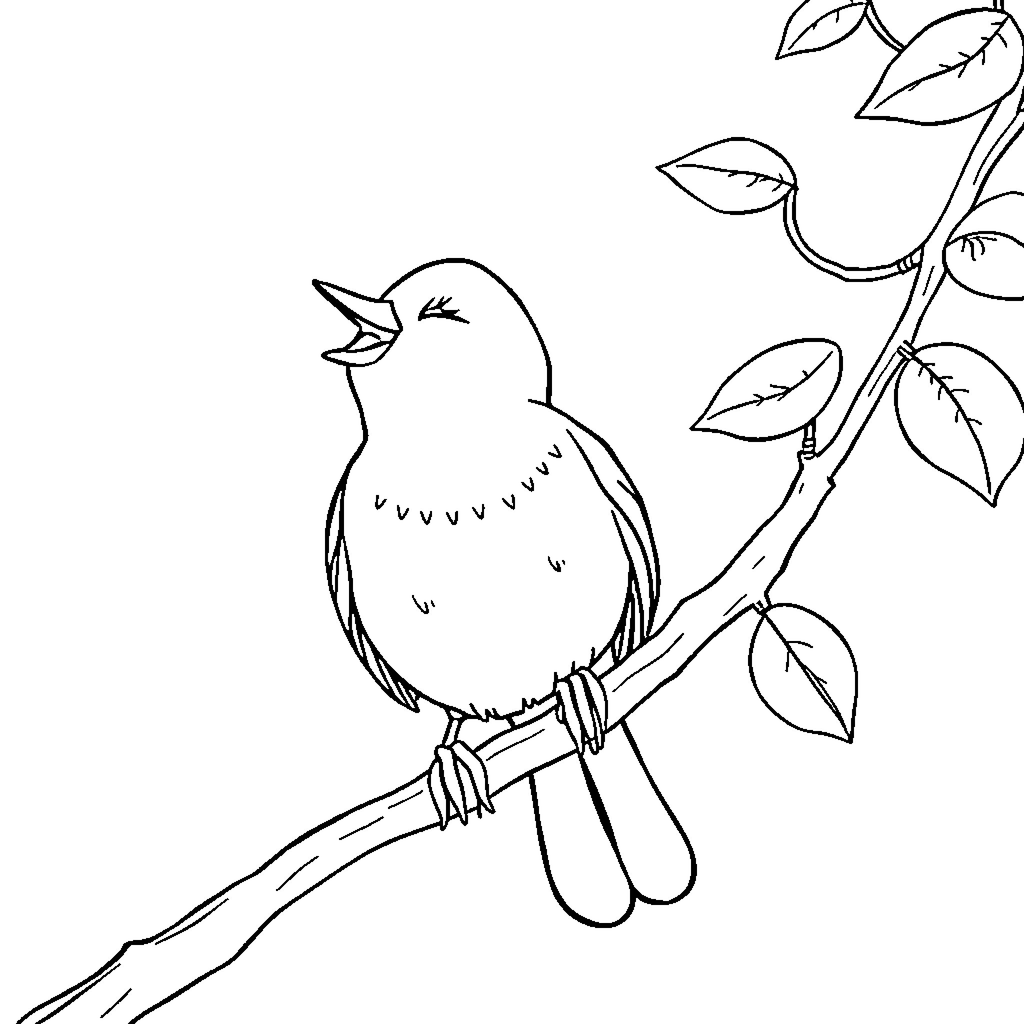 Bird perched on a branch with leaves Coloring Page (free black-and-white line drawing printable PDF for all, from beginners to advanced learners, including children, teens, adults, and seniors)