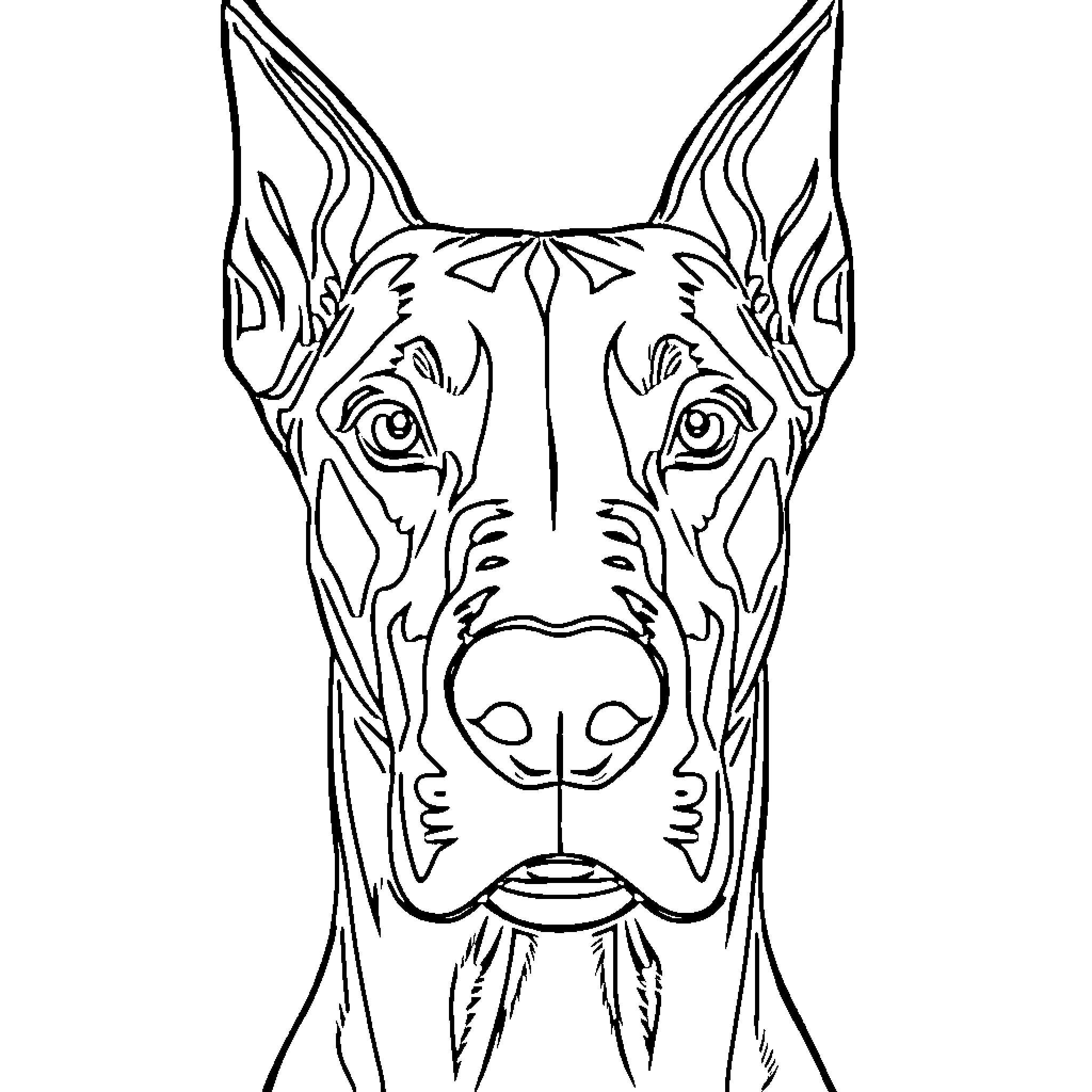 Doberman dog's striking facial features Coloring Page (free black-and-white line drawing printable PDF for all, from beginners to advanced learners, including children, teens, adults, and seniors)