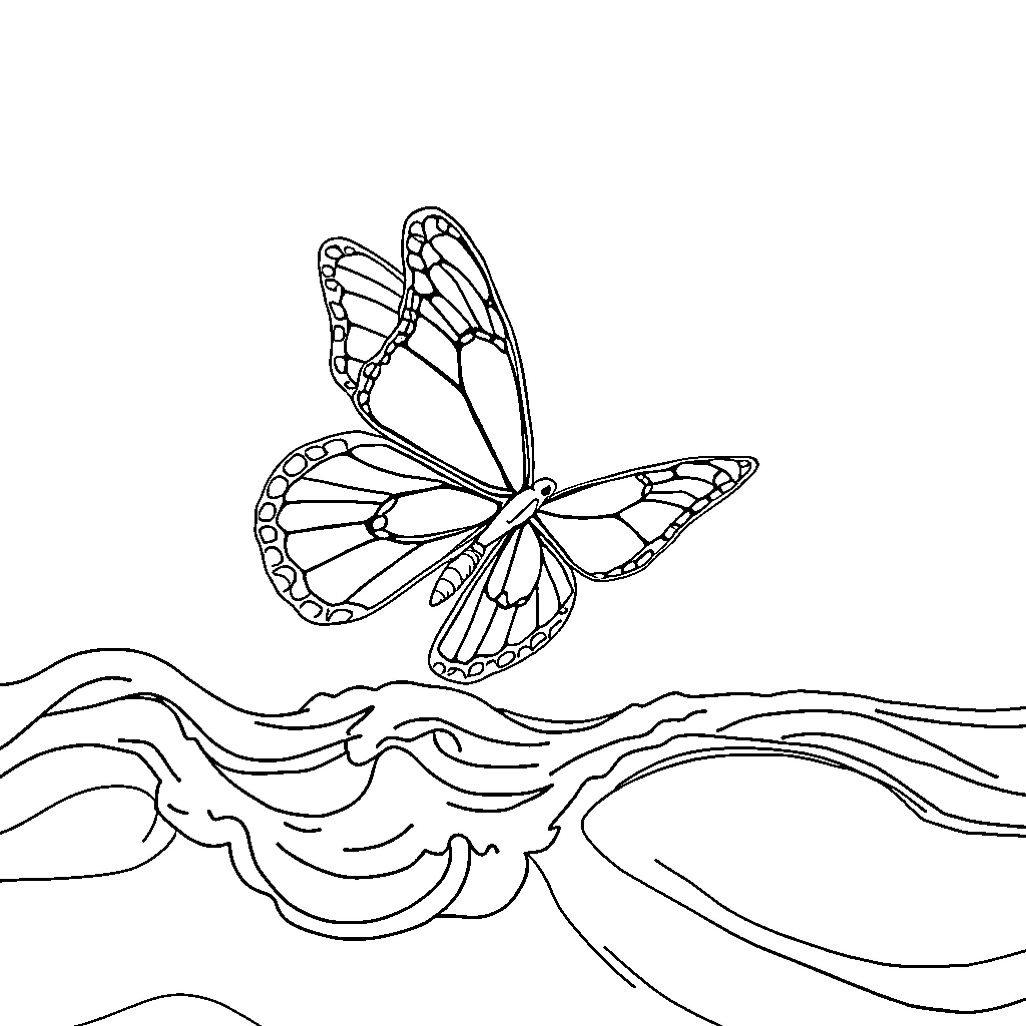 Butterfly in flight above serene waters Coloring Page (free black-and-white line drawing printable PDF for all, from beginners to advanced learners, including children, teens, adults, and seniors)