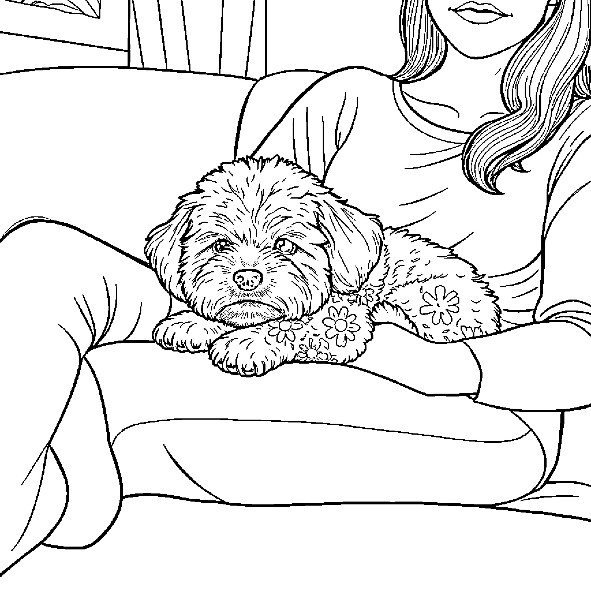 Maltipoo relaxing with owner on cozy chair Coloring Page (free black-and-white line drawing printable PDF for all, from beginners to advanced learners, including children, teens, adults, and seniors)