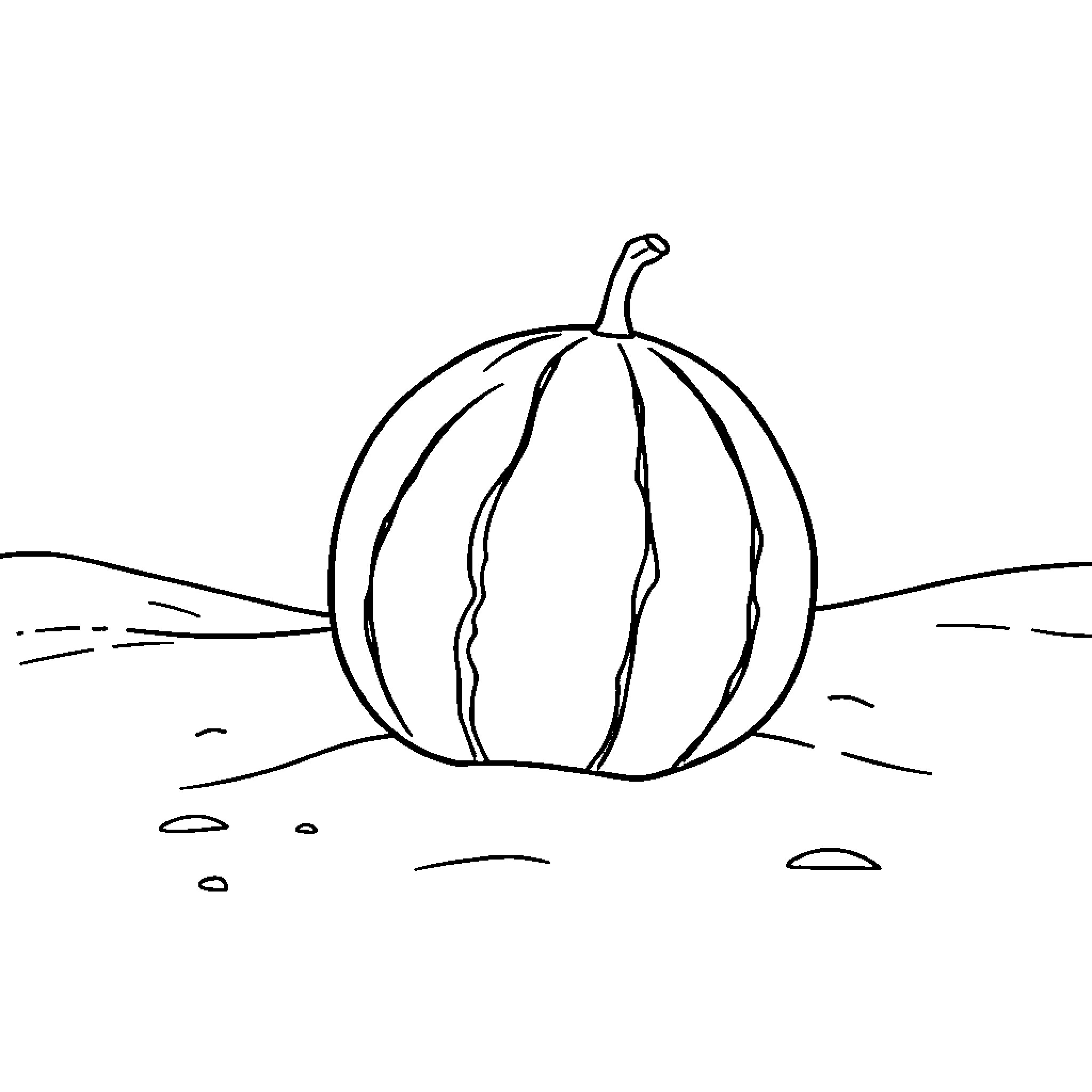 Melon on an autumn field Coloring Page (free black-and-white line drawing printable PDF for all, from beginners to advanced learners, including children, teens, adults, and seniors)