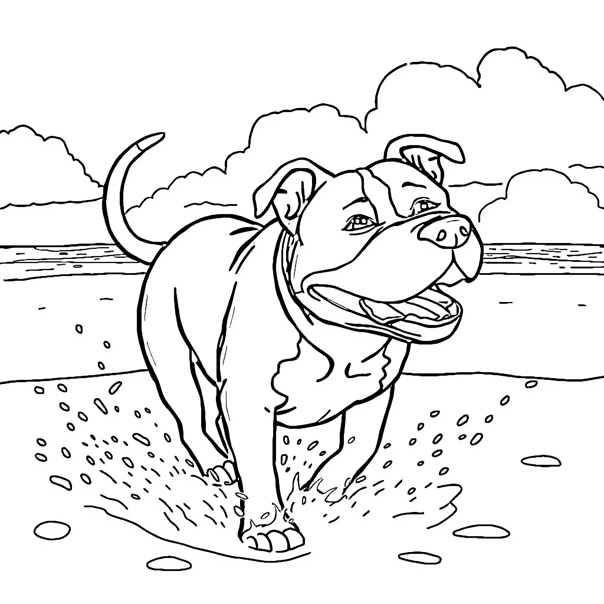 Pitbull playfully running on the beach Coloring Page (free black-and-white line drawing printable PDF for all, from beginners to advanced learners, including children, teens, adults, and seniors)