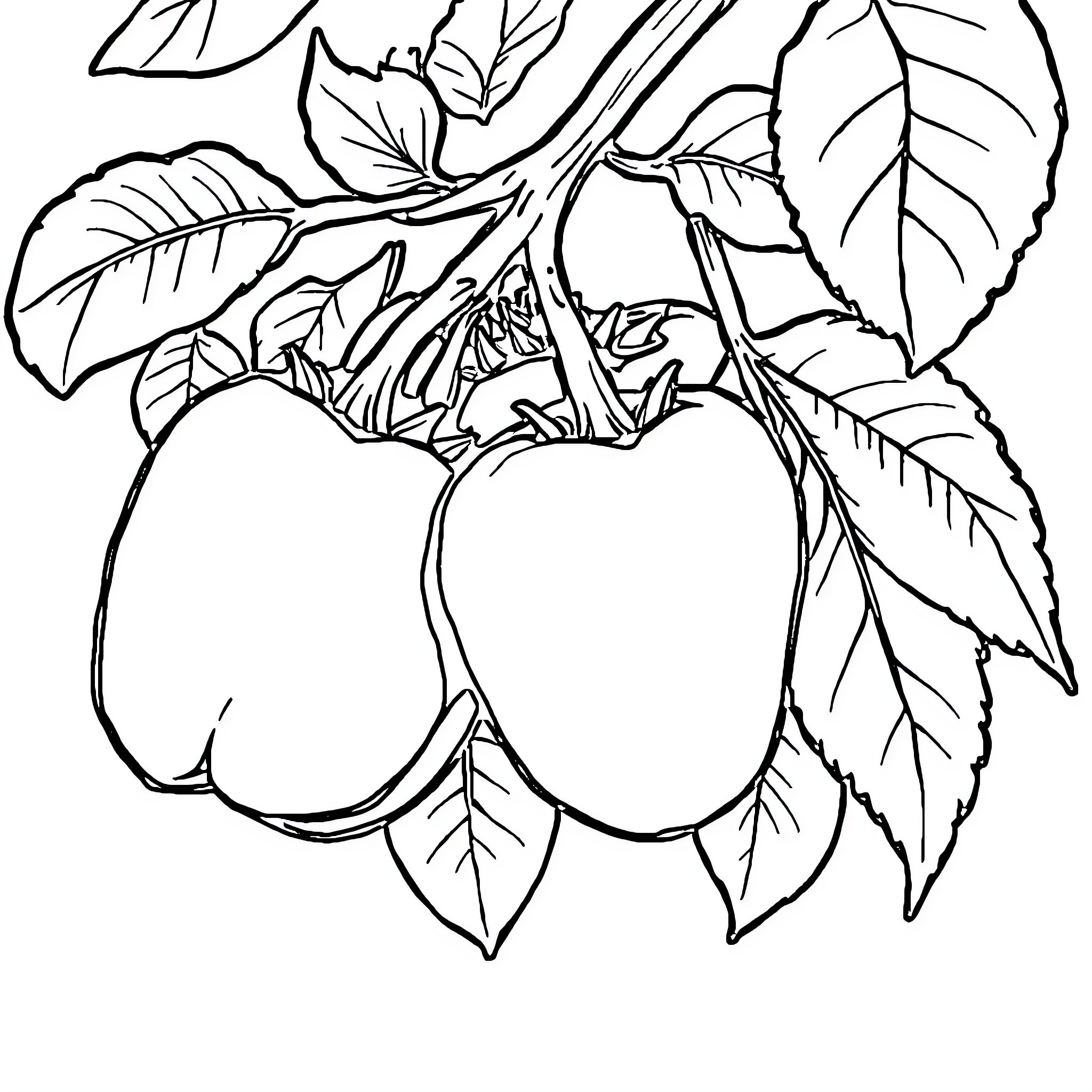 Vegetable Leaves and Branches in Intricate Design Coloring Page (free black-and-white line drawing printable PDF for all, from beginners to advanced learners, including children, teens, adults, and seniors)