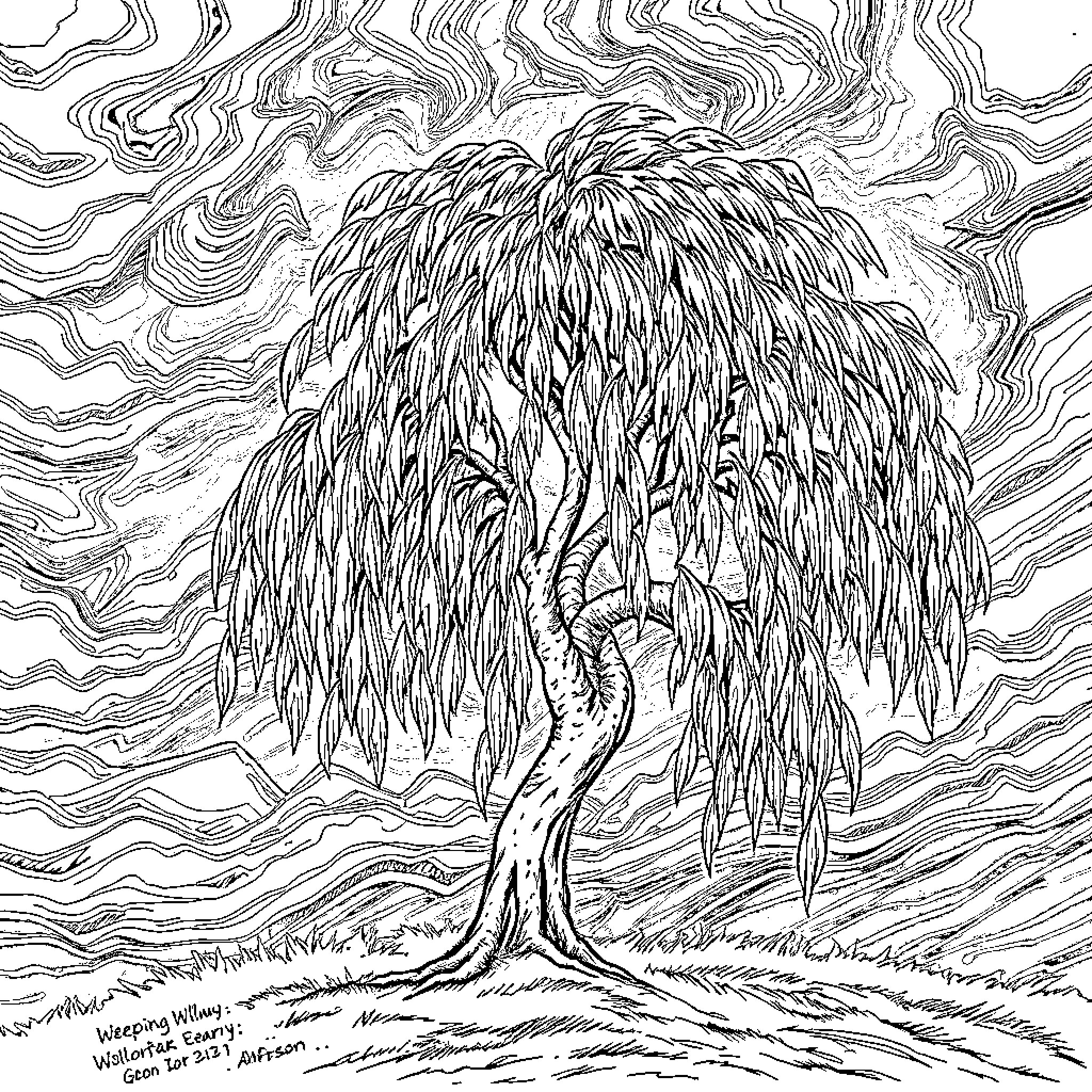 Weeping Willow Tree Swaying in the Wind Coloring Page (free black-and-white line drawing printable PDF for all, from beginners to advanced learners, including children, teens, adults, and seniors)