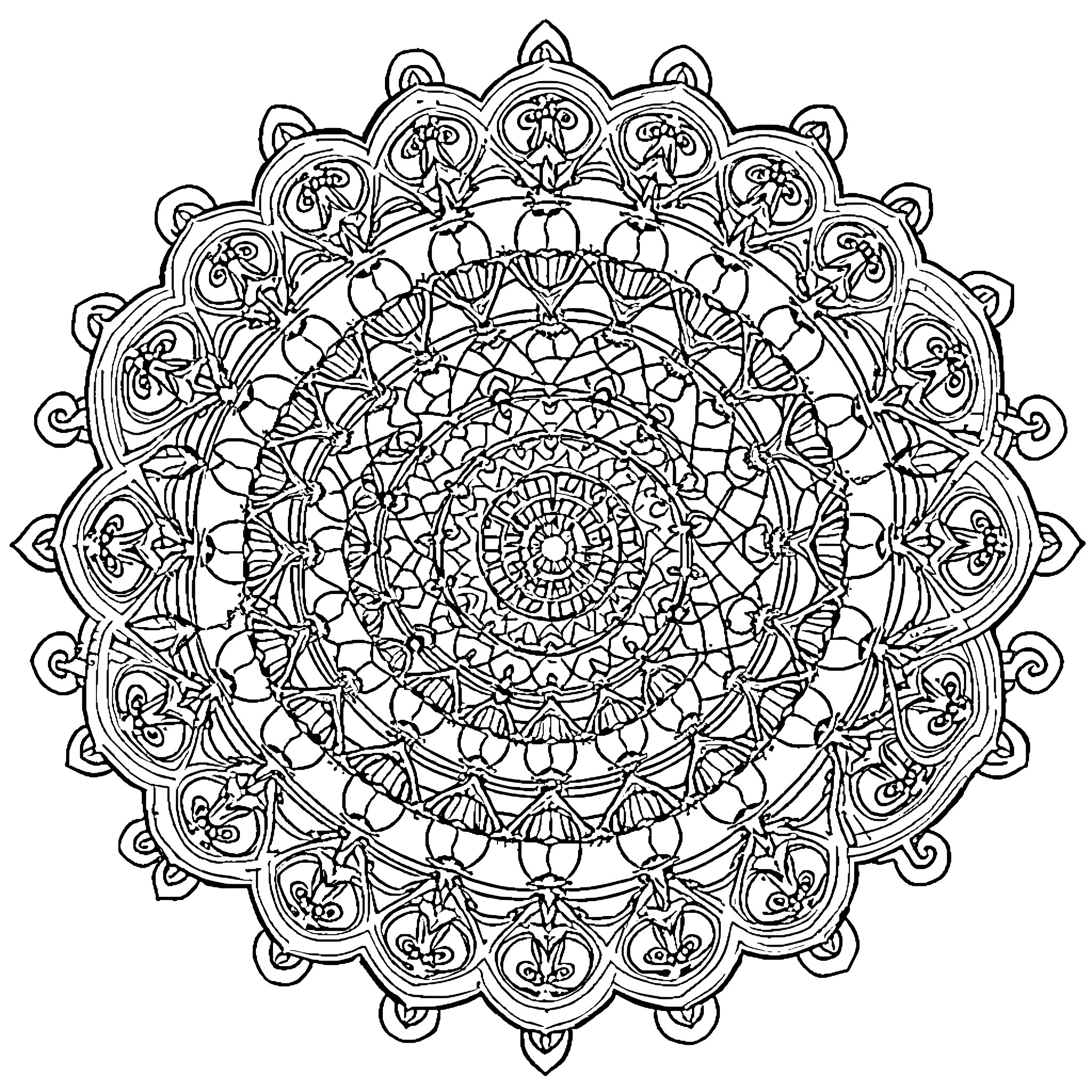 Mandala of intricate floral and geometric patterns Coloring Page (free black-and-white line drawing printable PDF for all, from beginners to advanced learners, including children, teens, adults, and seniors)