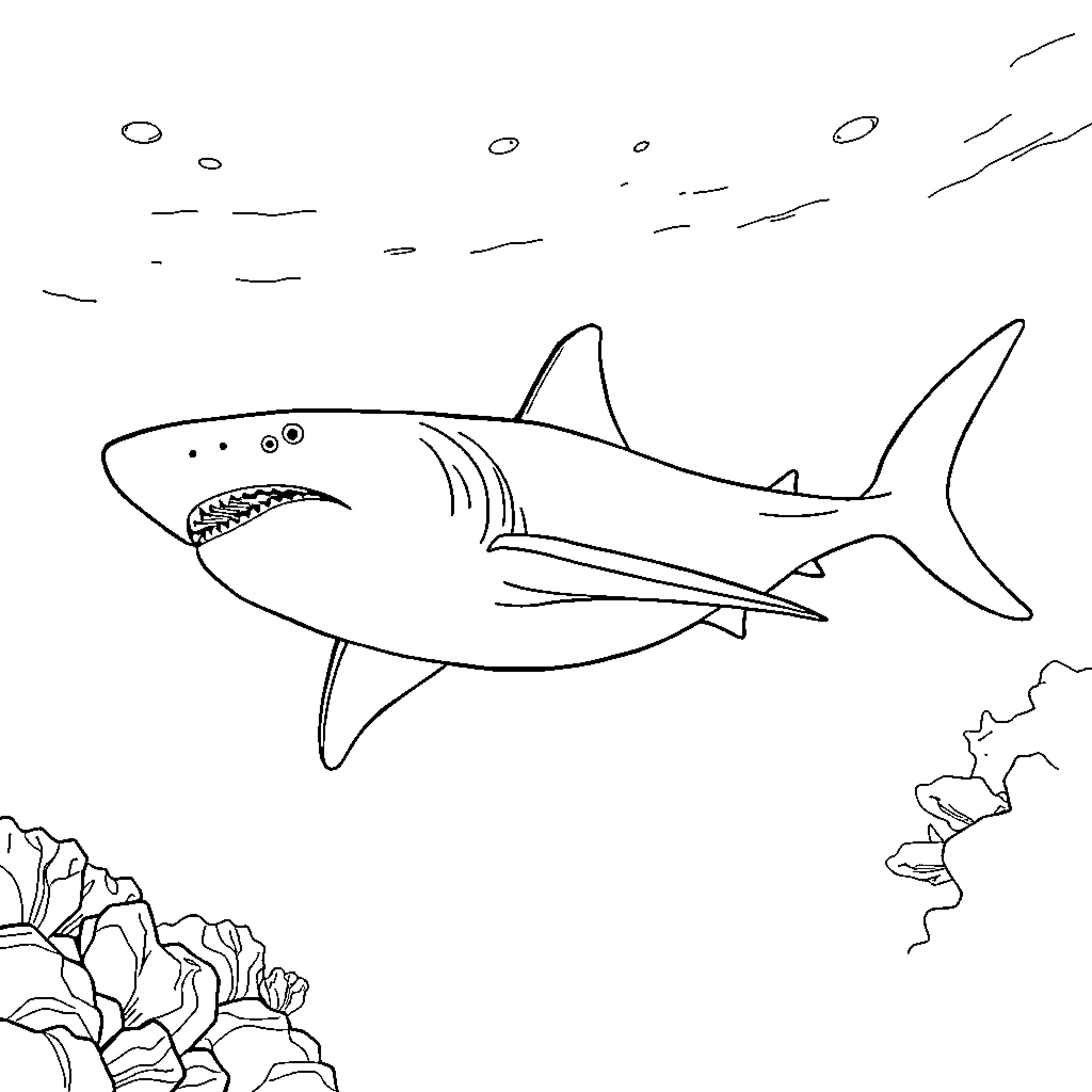 Shark swimming gracefully in the ocean Coloring Page (free black-and-white line drawing printable PDF for all, from beginners to advanced learners, including children, teens, adults, and seniors)
