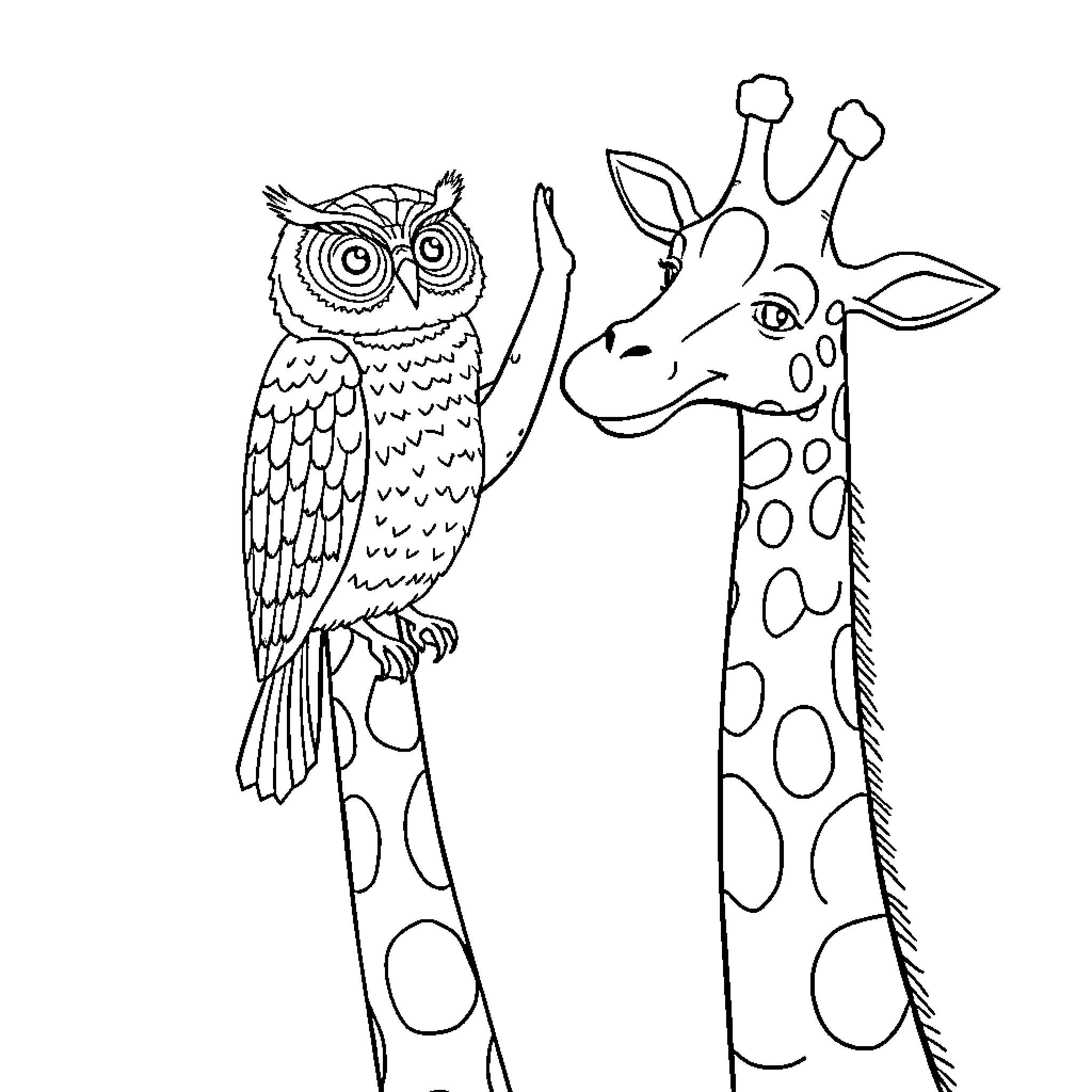 Owl and Giraffe in Whimsical Sketch Coloring Page (free black-and-white line drawing printable PDF for all, from beginners to advanced learners, including children, teens, adults, and seniors)