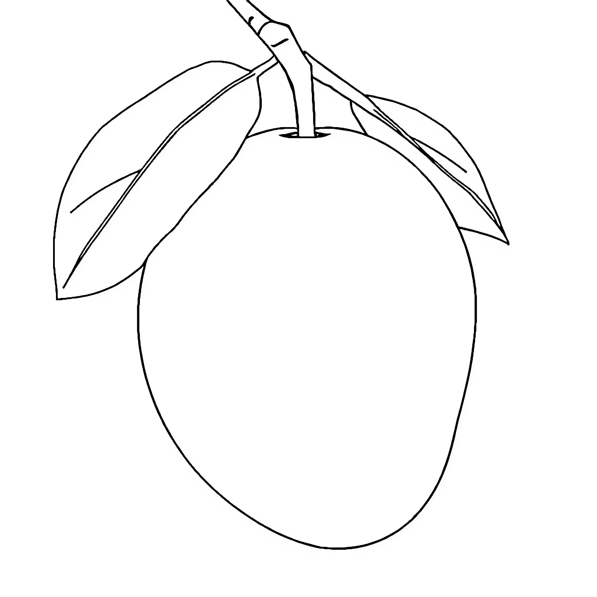 Mango hanging on the branch Coloring Page (free black-and-white line drawing printable PDF for all, from beginners to advanced learners, including children, teens, adults, and seniors)
